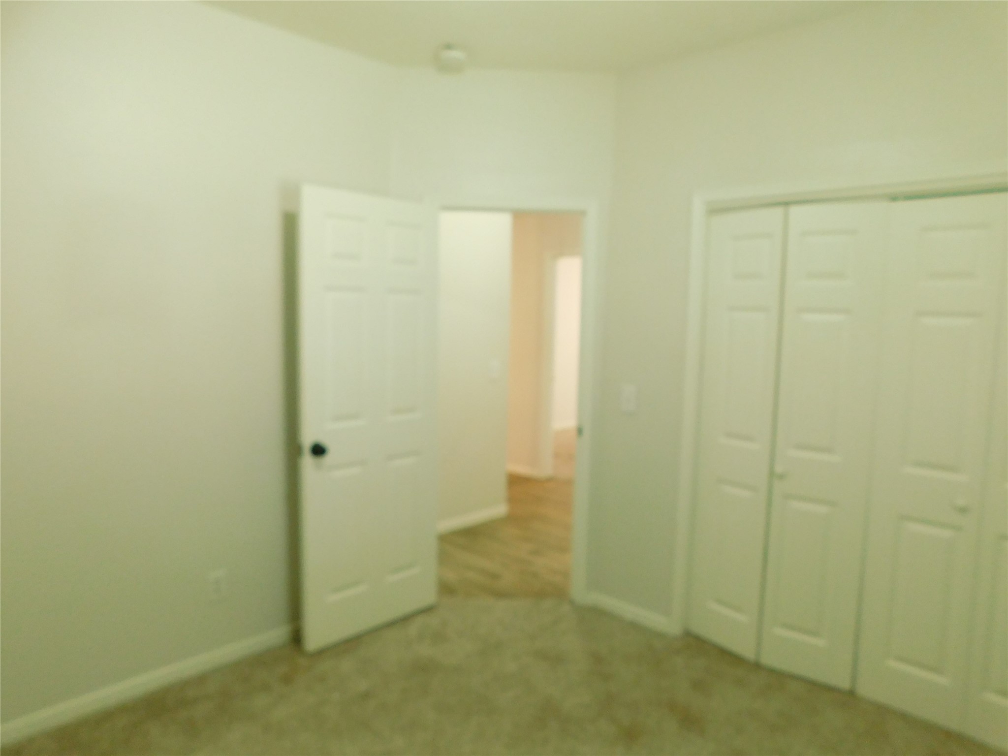 2919 Desert Oasis Lane Property Photo 14