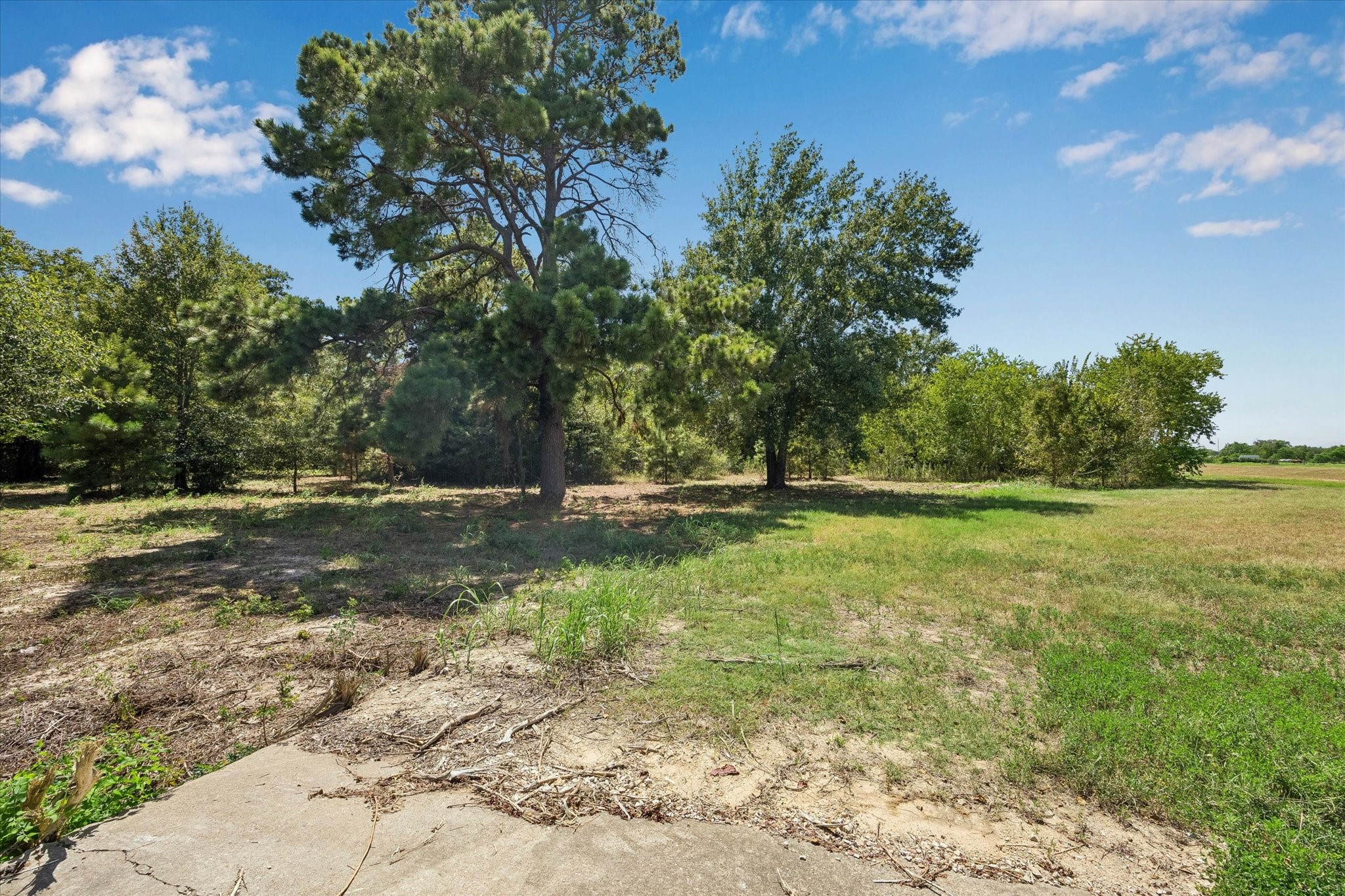 18034 Kleb Street Property Photo 7