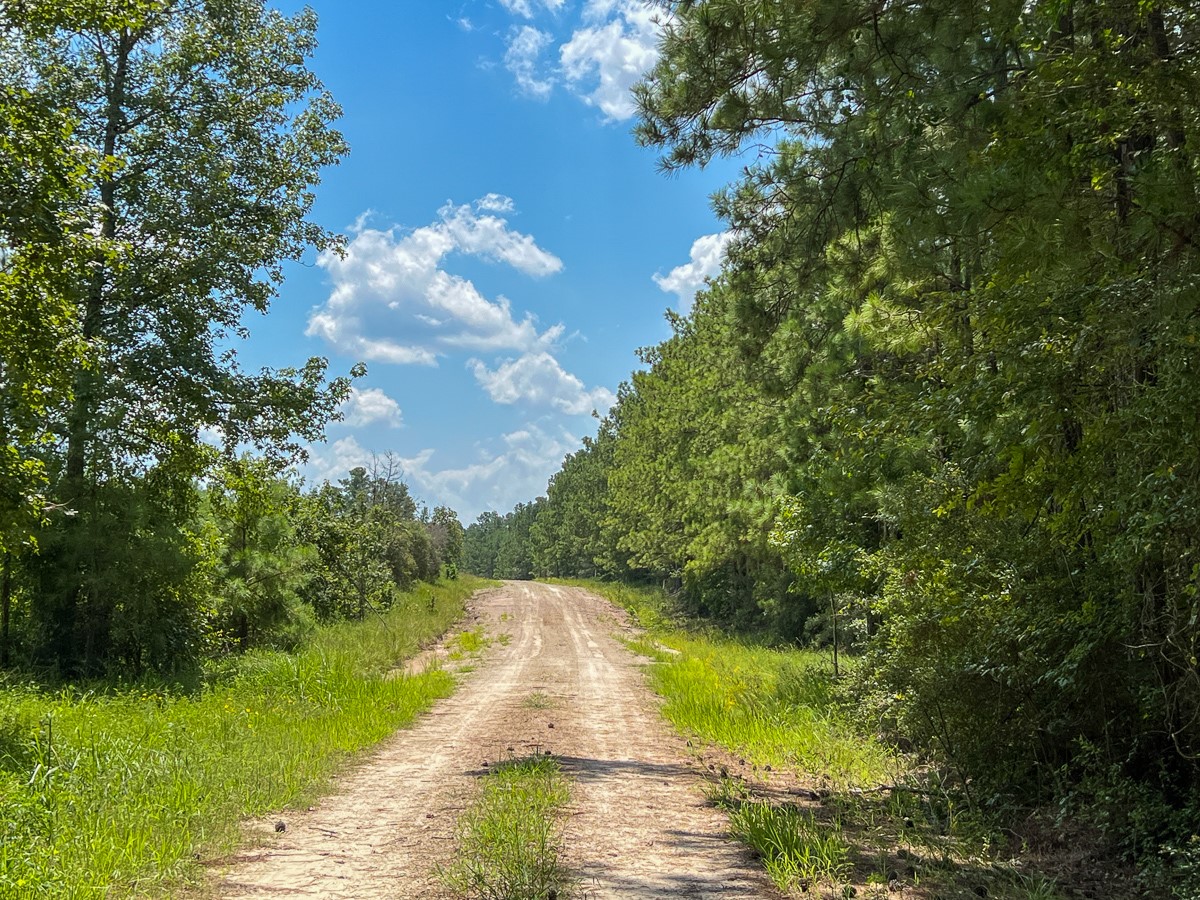 000000 Farm To Market 352 Property Photo 6