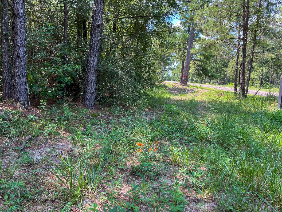 000000 Farm To Market 352 Property Photo 14