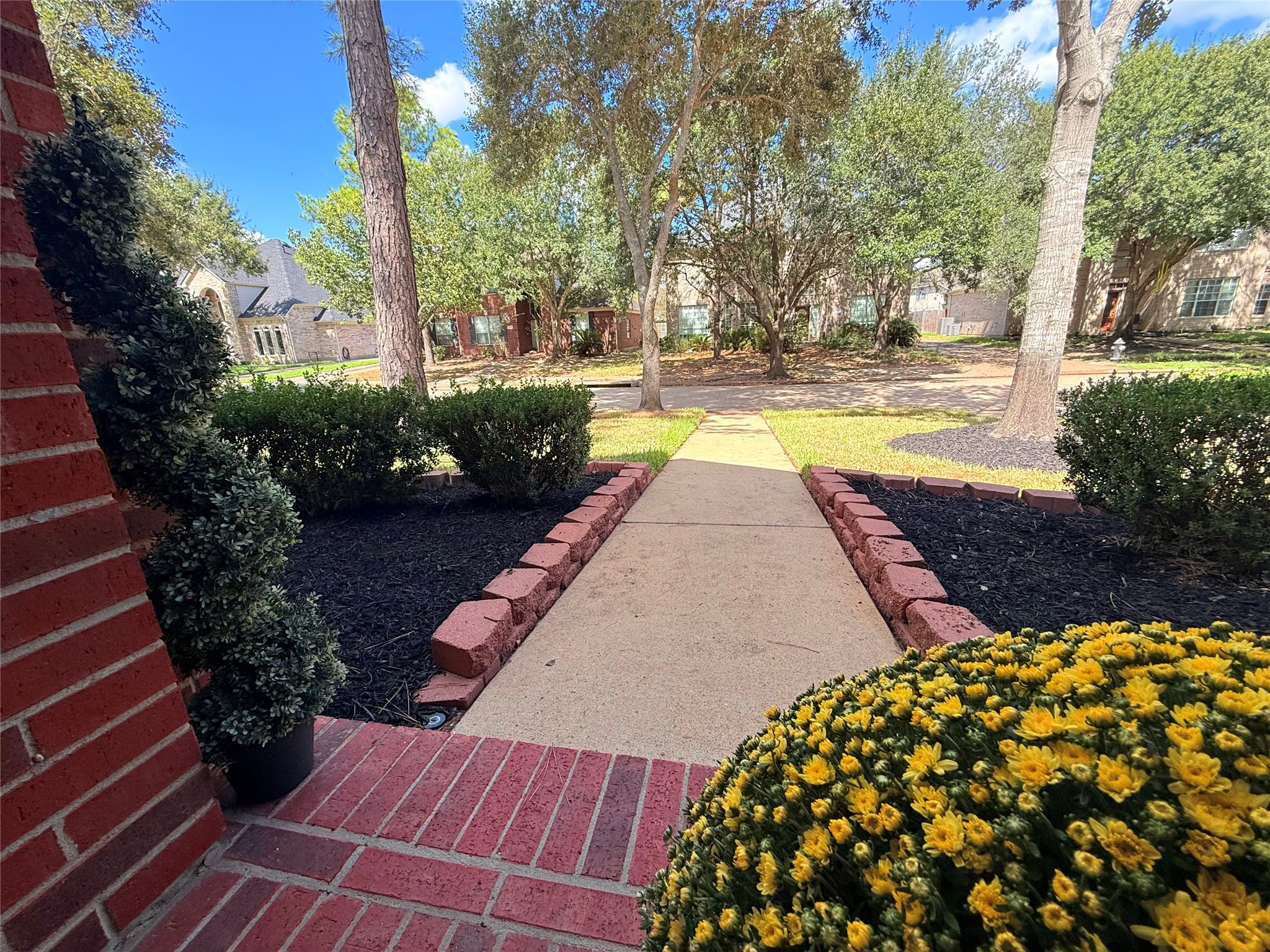 6235 Clear Canyon Drive Property Photo 42