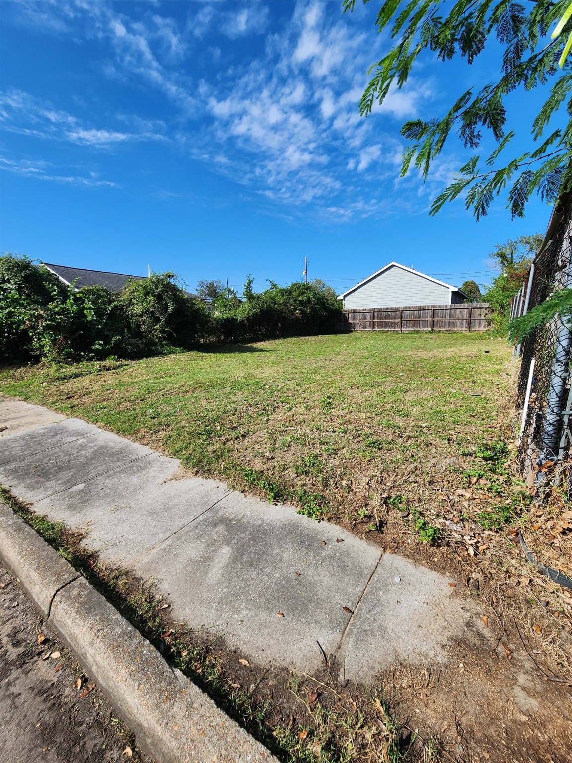 0 Lelia Street Property Photo 3