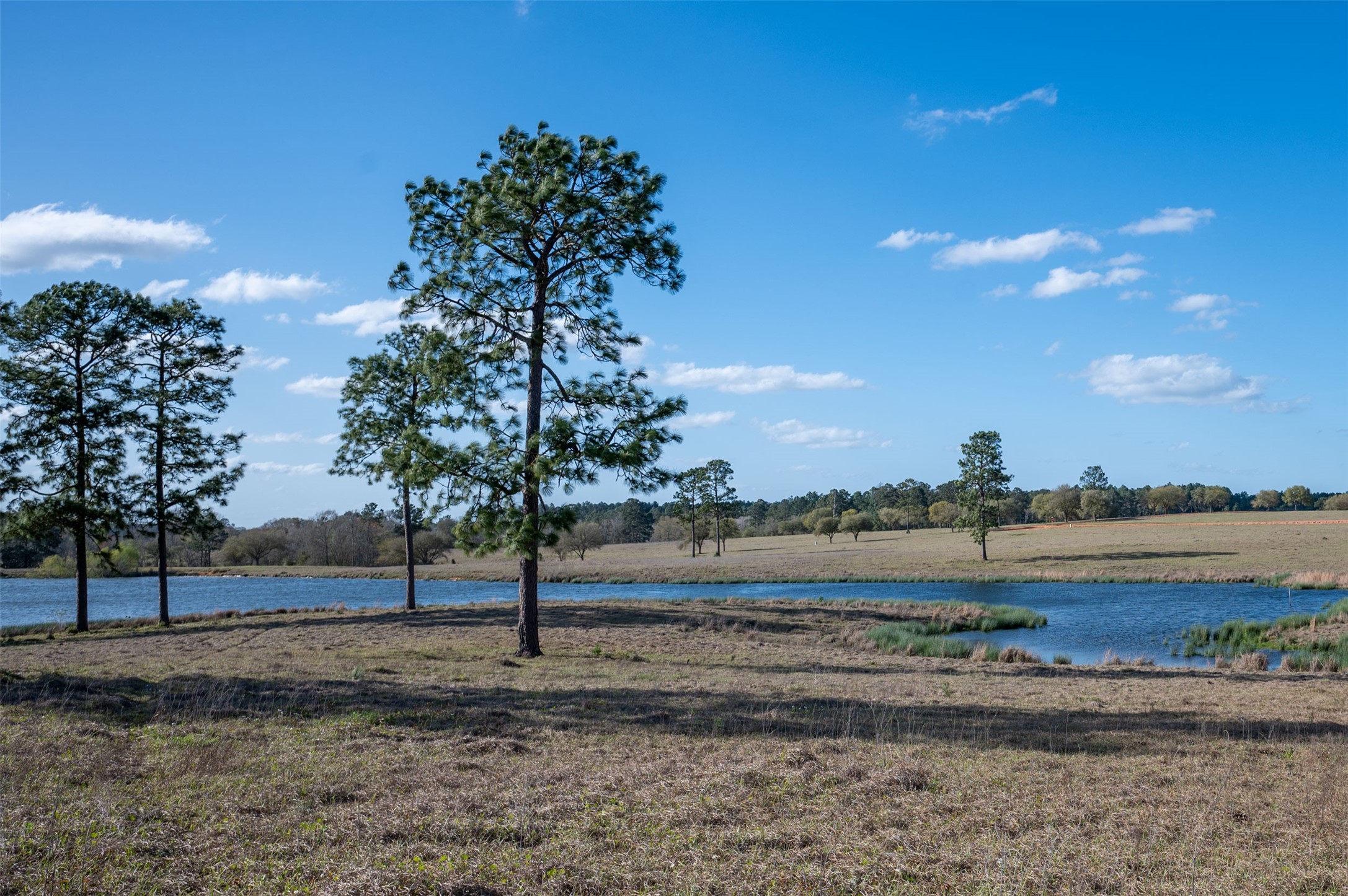 415 Evergreen Trail Property Photo