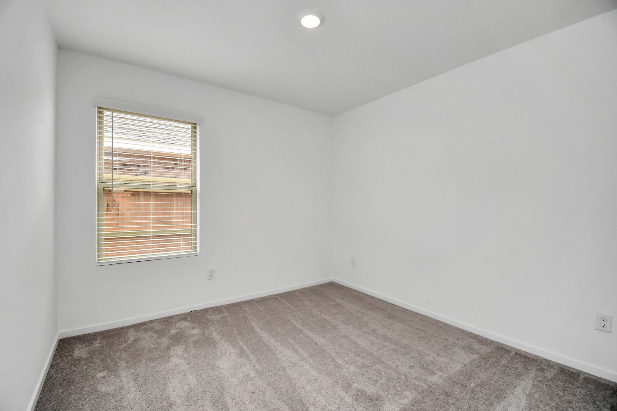 3179 Savannah Rose Property Photo 5