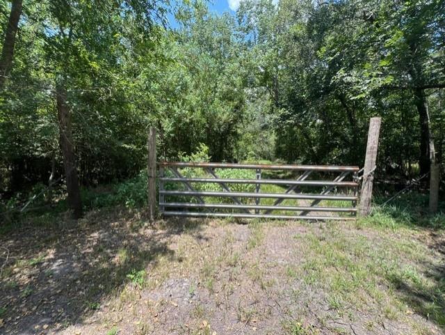 0 Bear Bottom Property Photo 4