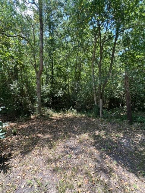 0 Bear Bottom Property Photo 5