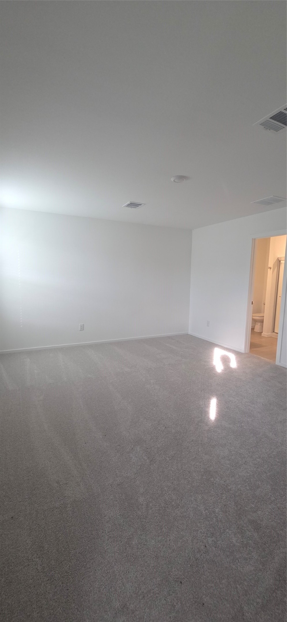 331 Ice Shore Trail Property Photo 20