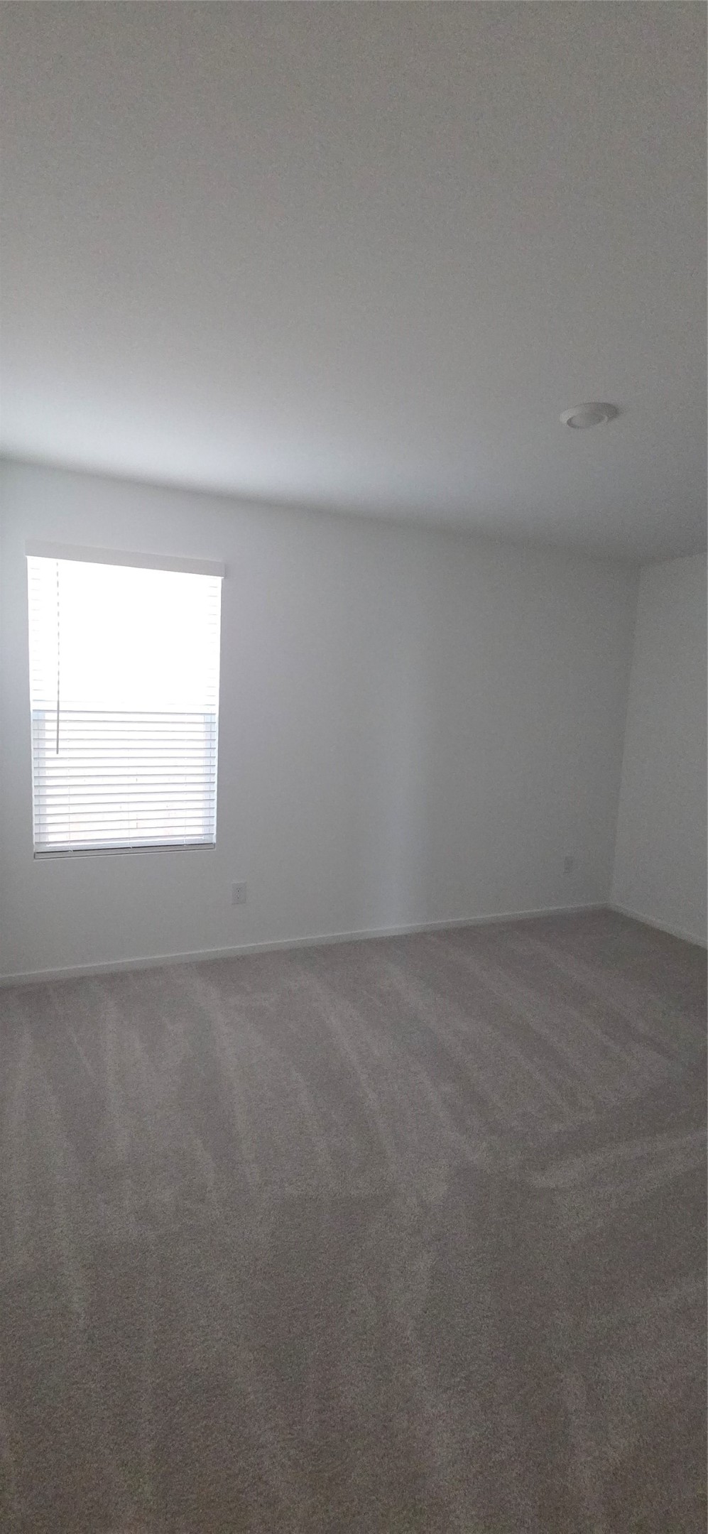 331 Ice Shore Trail Property Photo 24