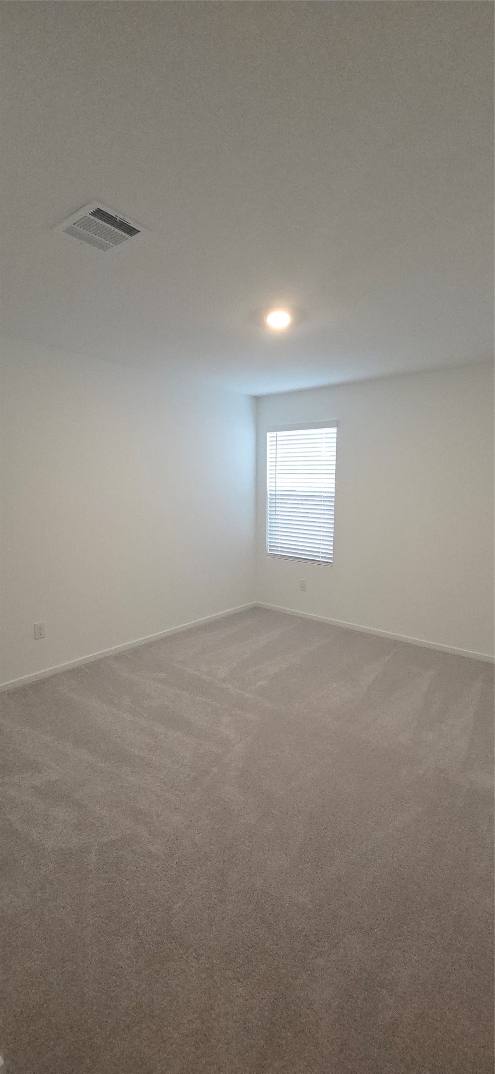 331 Ice Shore Trail Property Photo 25