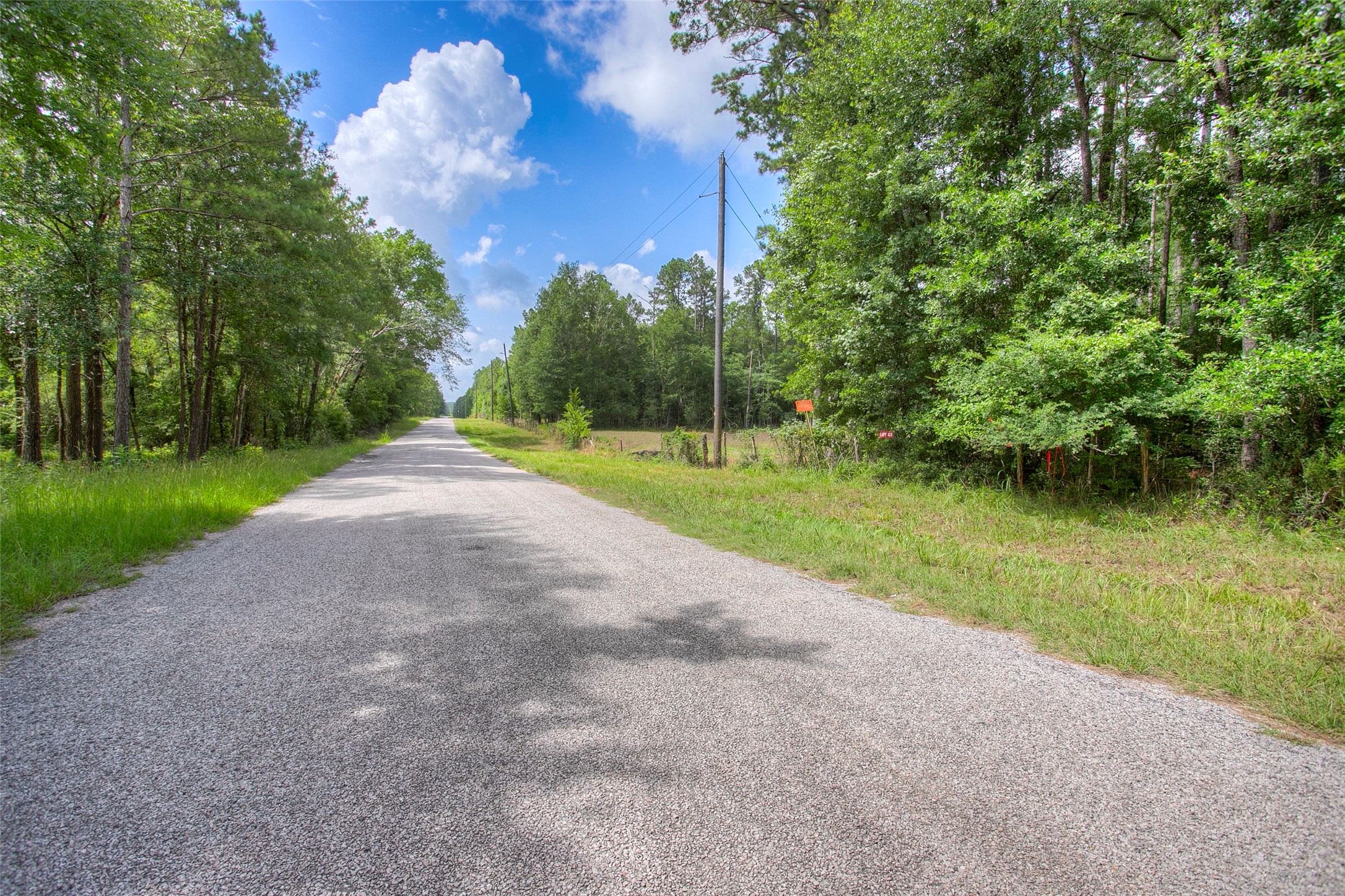 Lot 3 Utley Road Property Photo 1