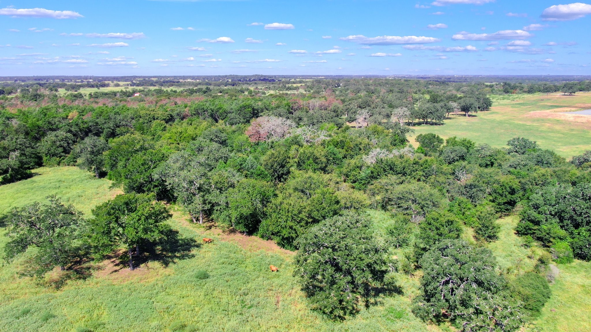 Tbd Cr 227 Property Photo