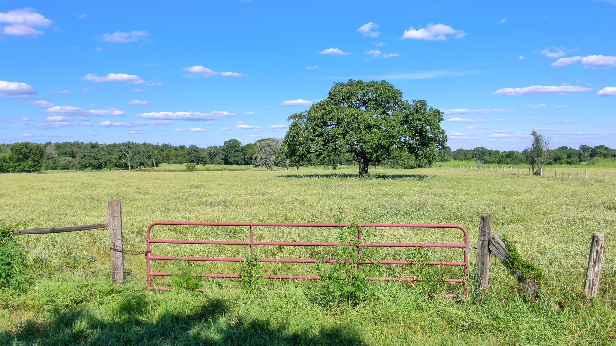 Tbd Cr 227 Property Photo 2