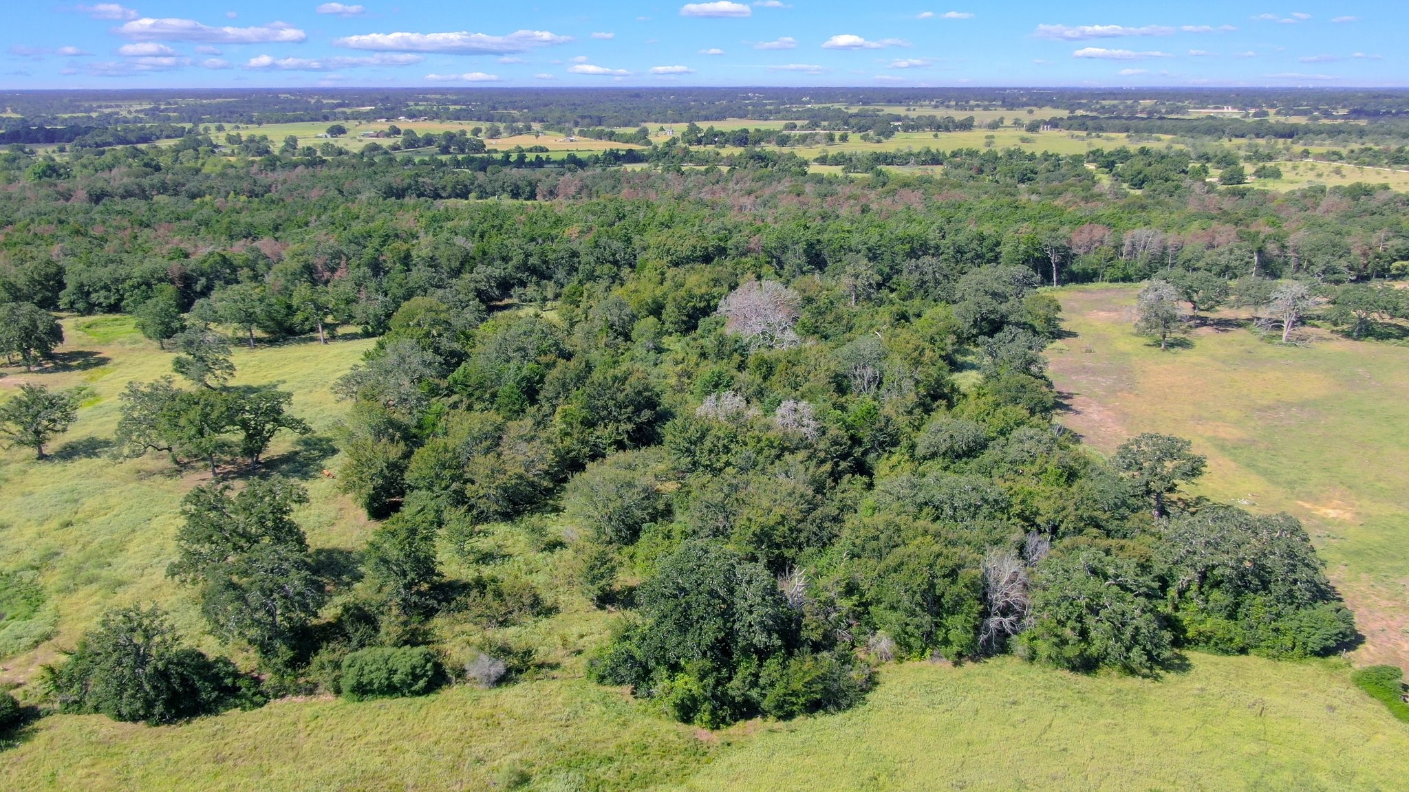 Tbd Cr 227 Property Photo 3