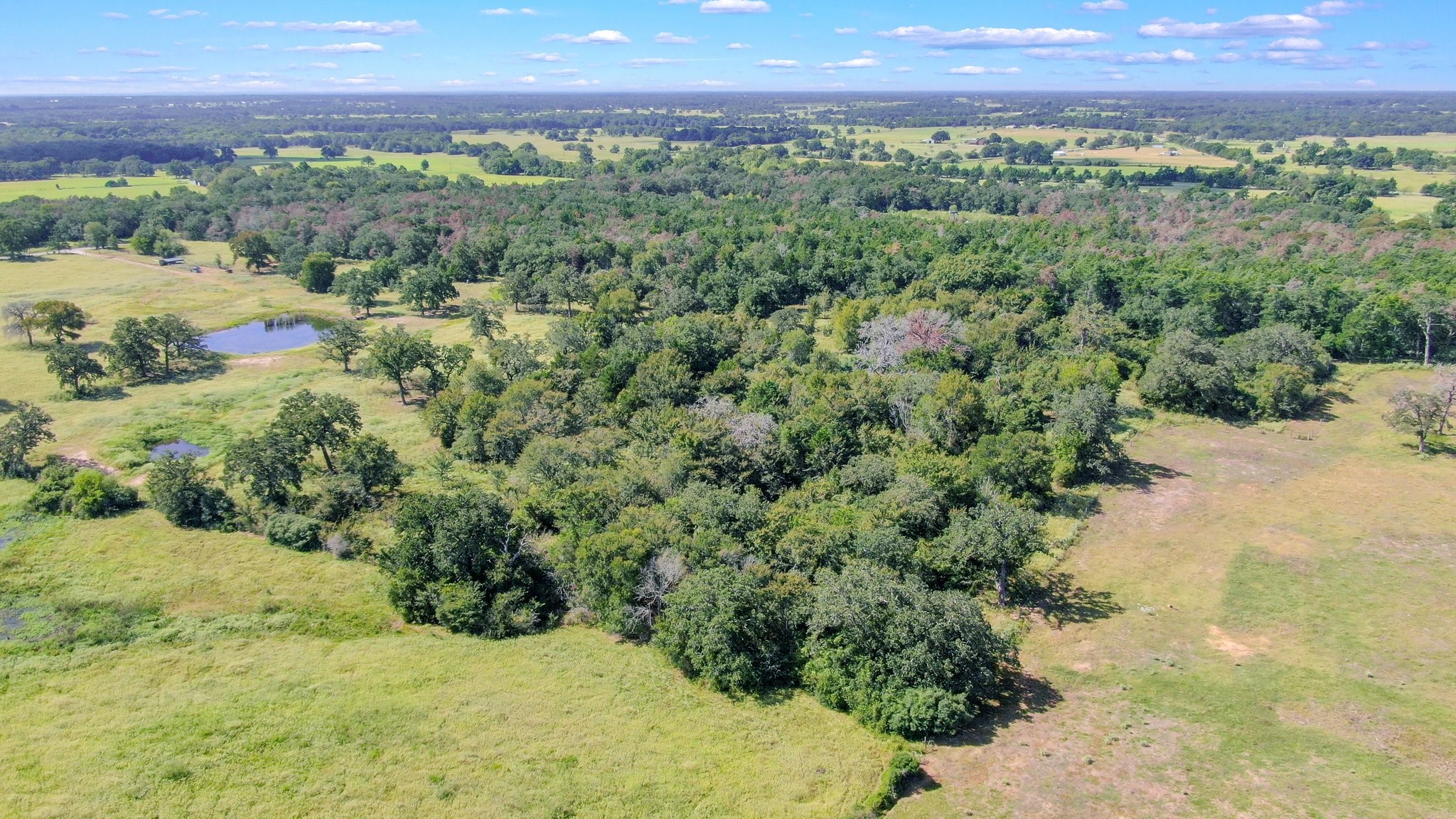 Tbd Cr 227 Property Photo 4