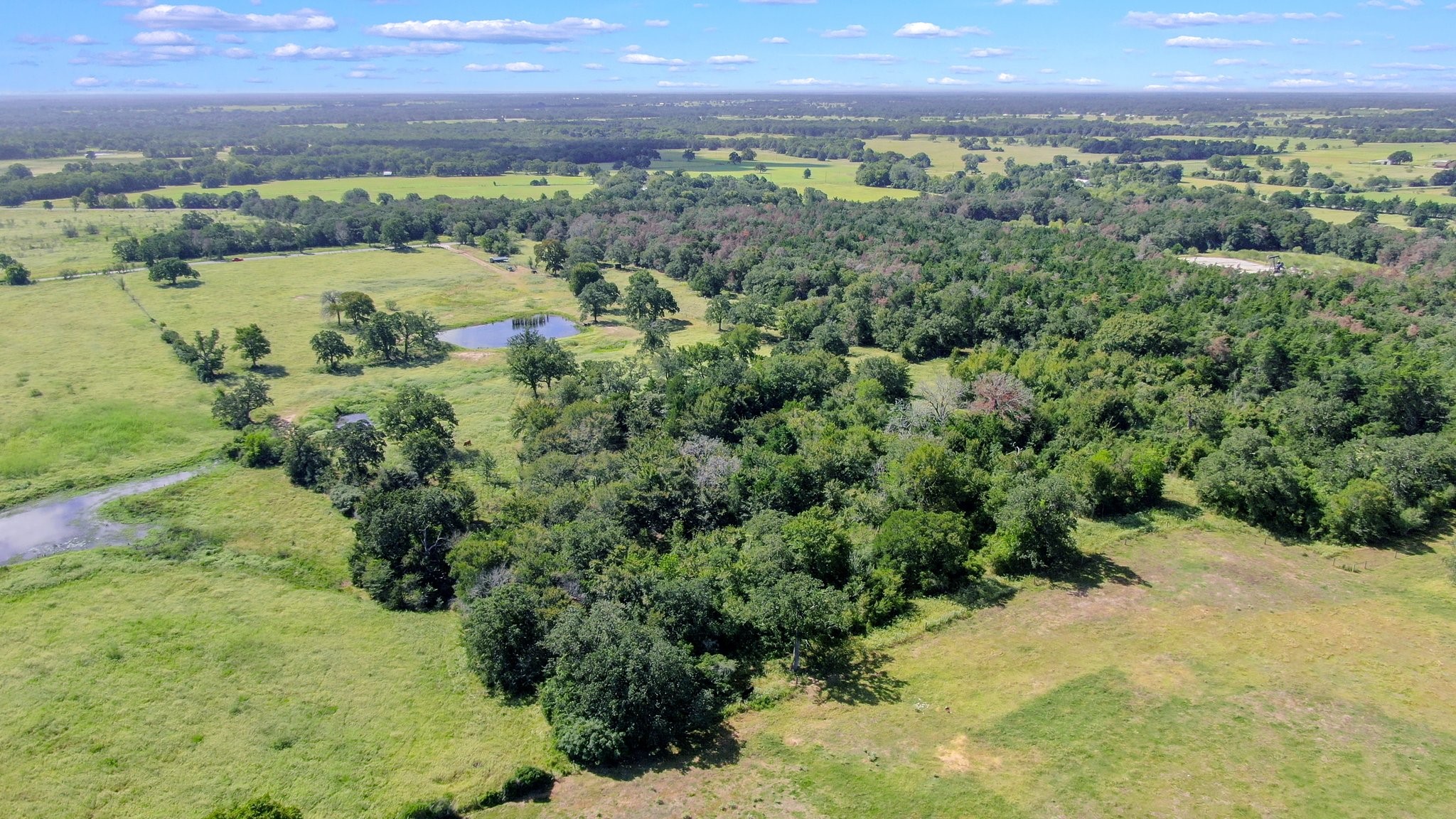 Tbd Cr 227 Property Photo 6