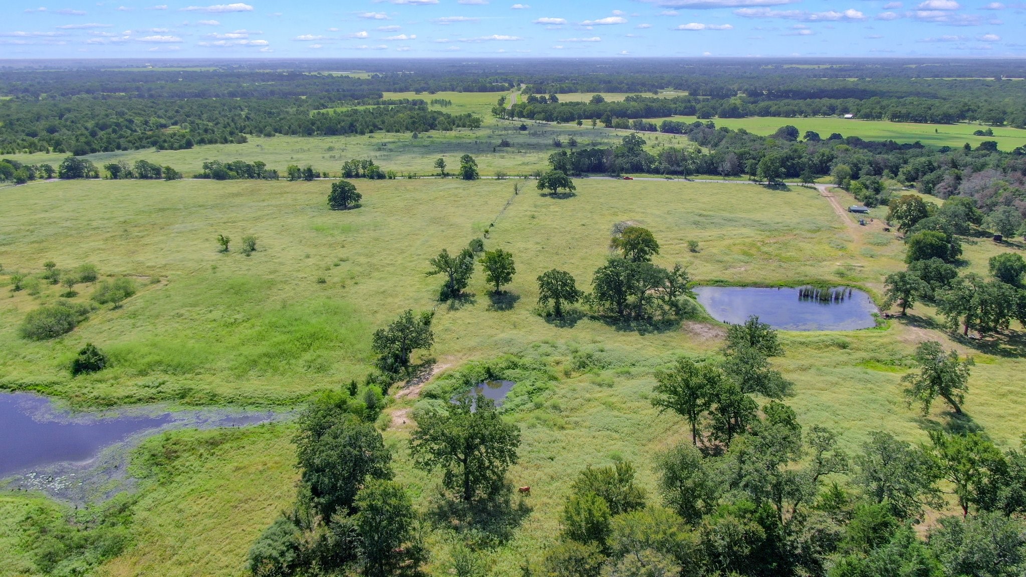 Tbd Cr 227 Property Photo 13