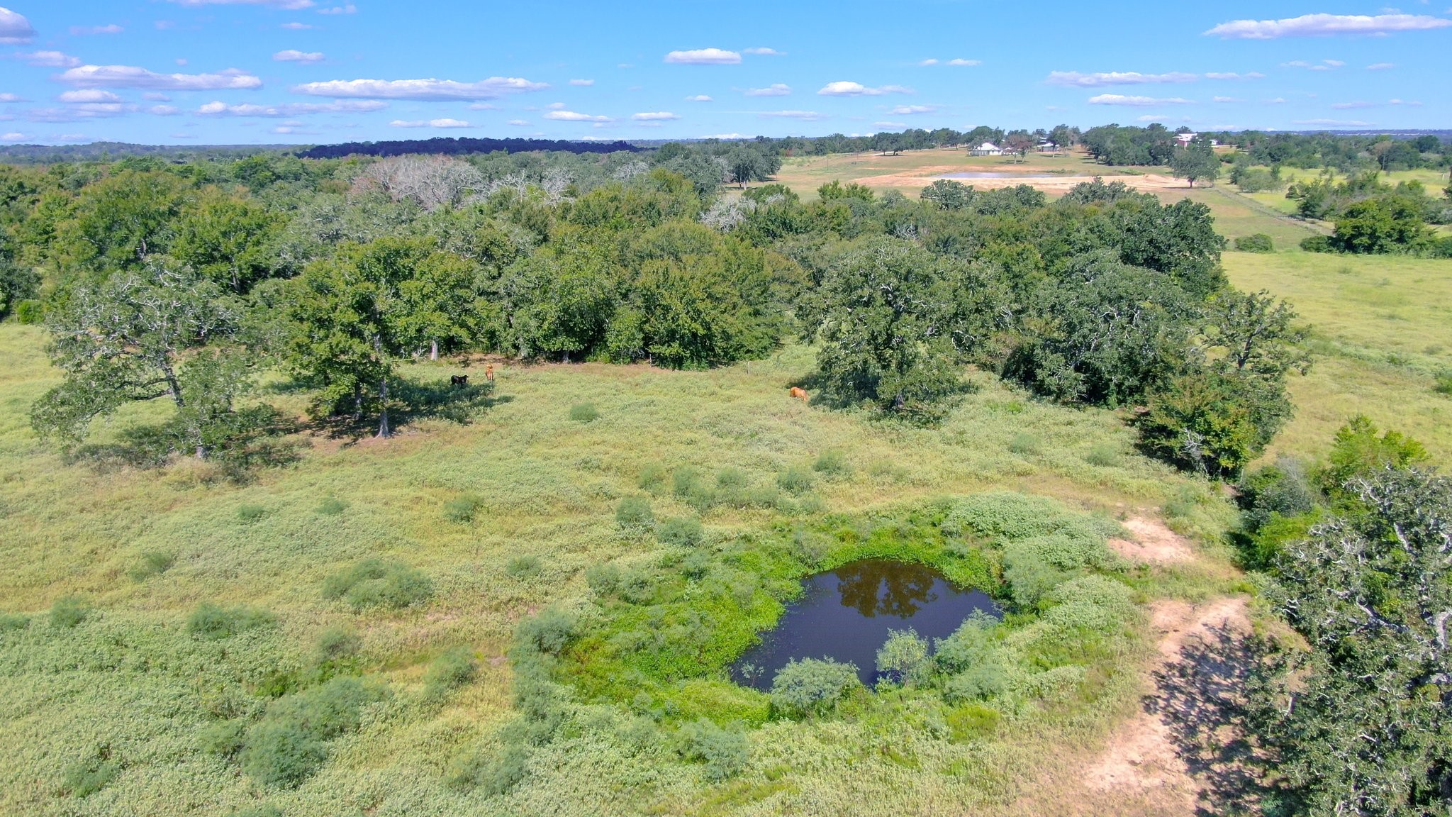Tbd Cr 227 Property Photo 14