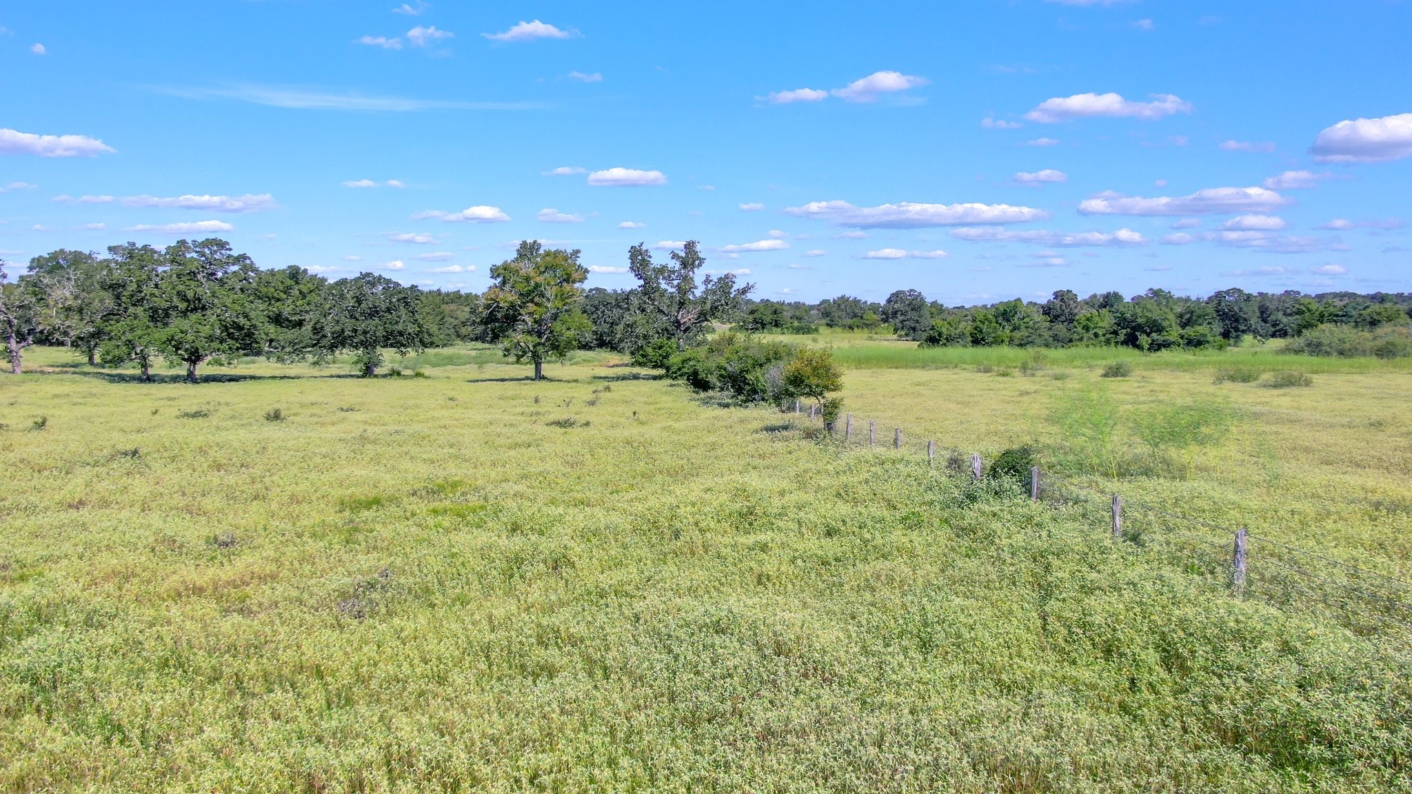 Tbd Cr 227 Property Photo 15