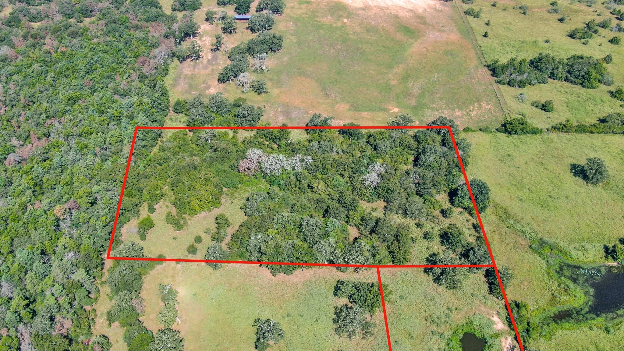Tbd Cr 227 Property Photo 19