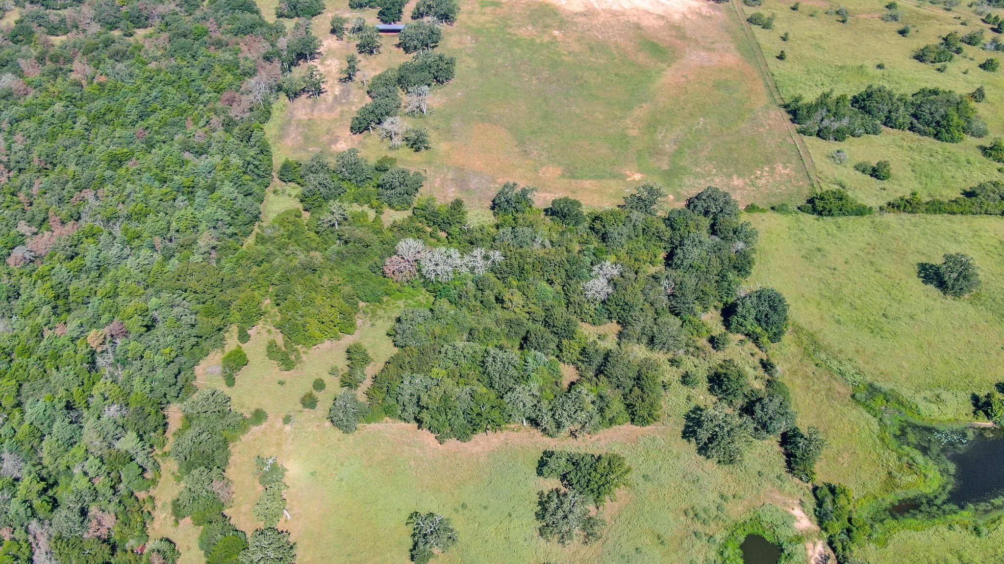 Tbd Cr 227 Property Photo 20