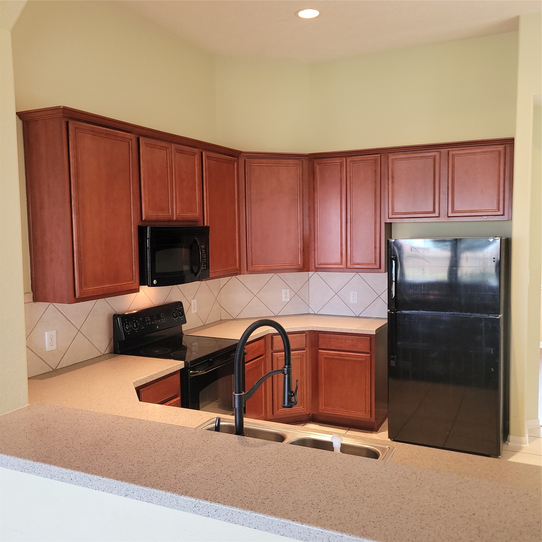 21410 Avalon Queen Drive Property Photo 4