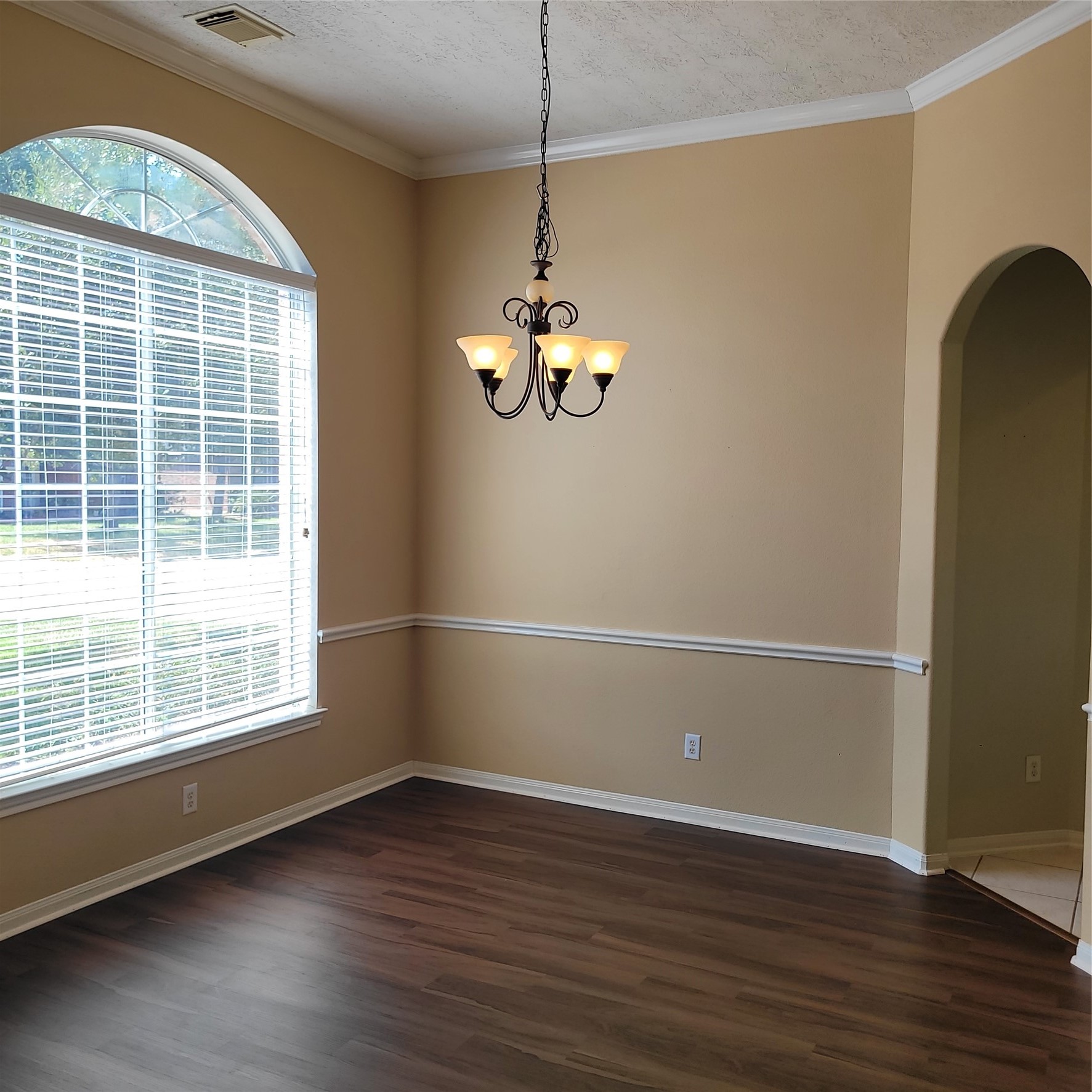 21410 Avalon Queen Drive Property Photo 9