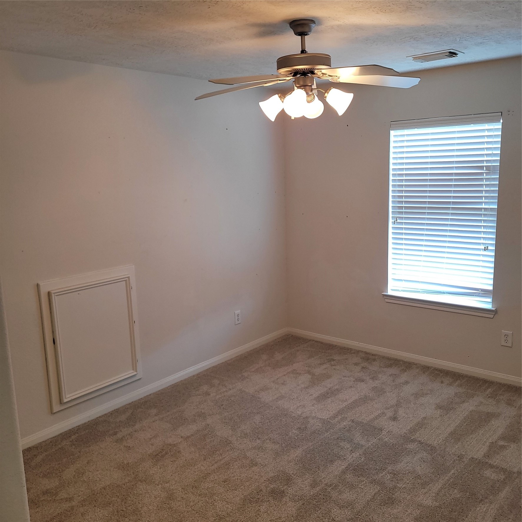 21410 Avalon Queen Drive Property Photo 11