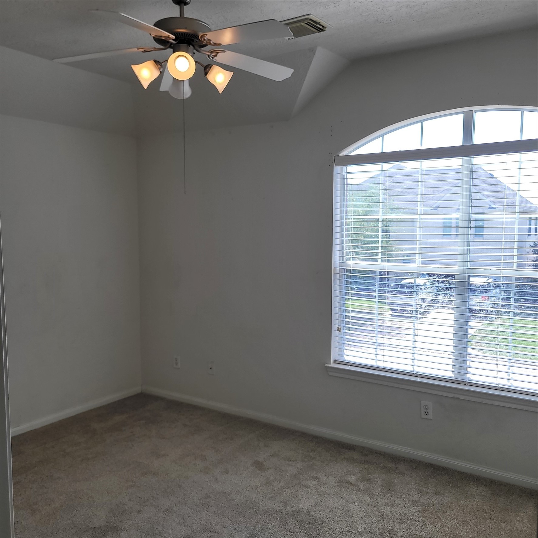 21410 Avalon Queen Drive Property Photo 13