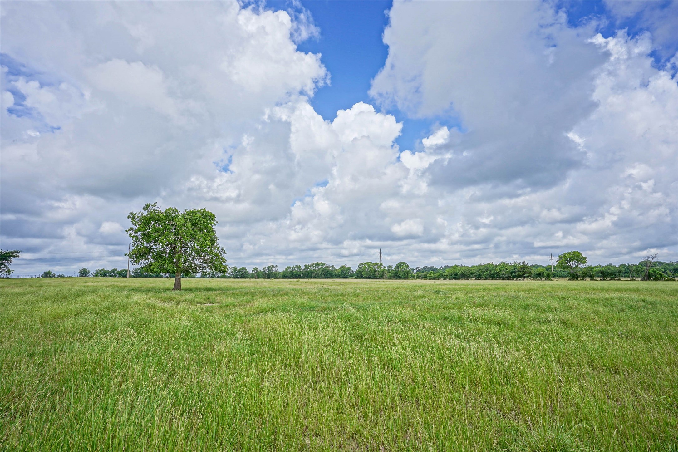 8263 County Road 179 Property Photo 47