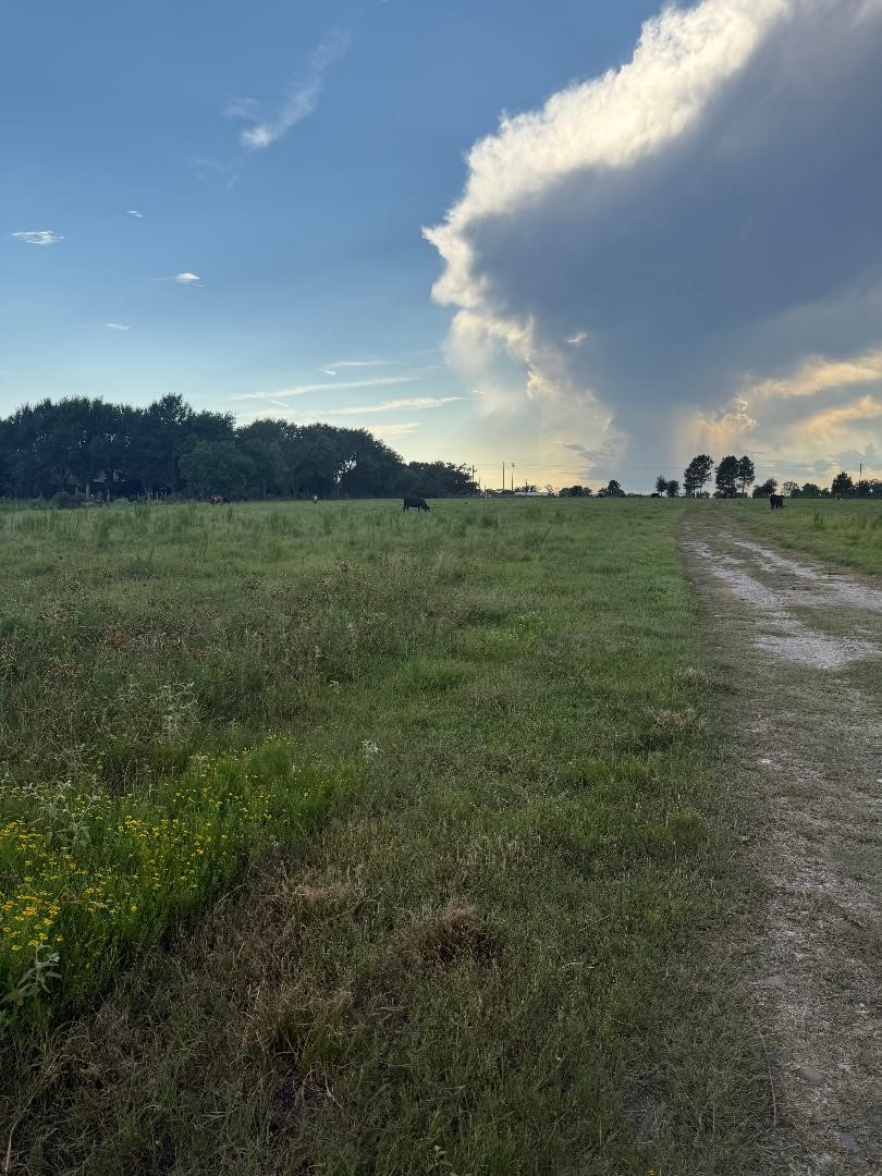 25704 Fm 1736 Property Photo 4