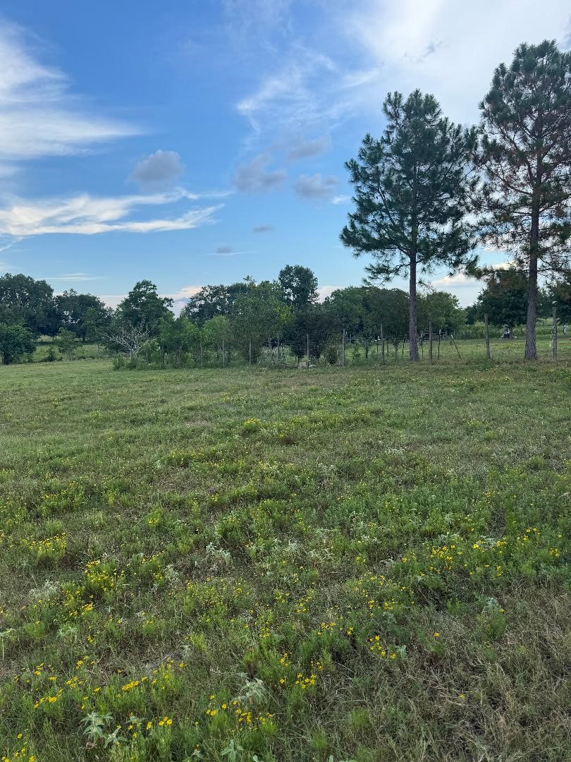 25704 Fm 1736 Property Photo 7