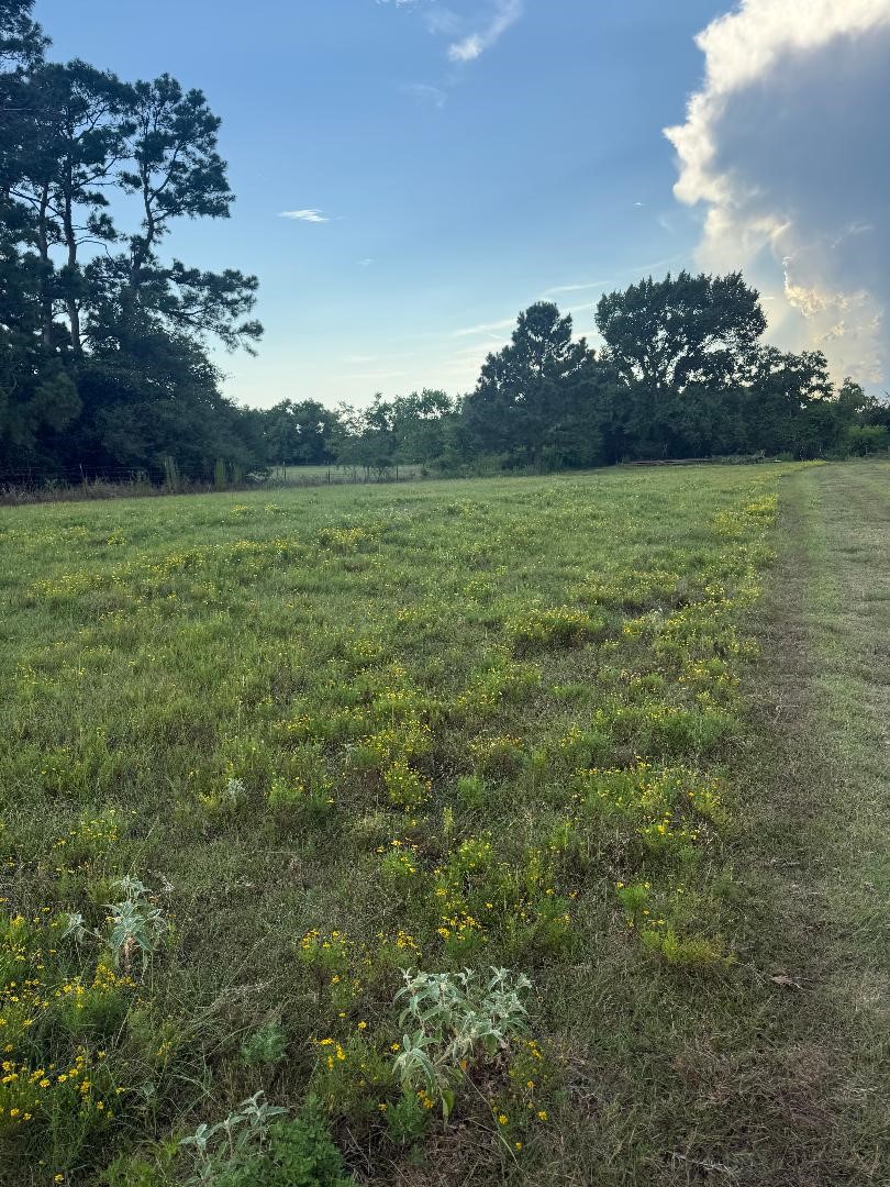 25704 Fm 1736 Property Photo 8