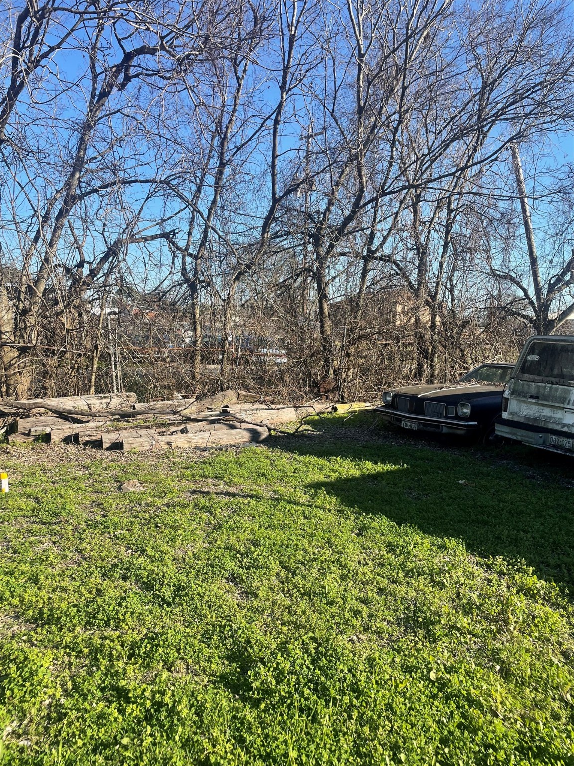 0 Cadillac Street Property Photo 5