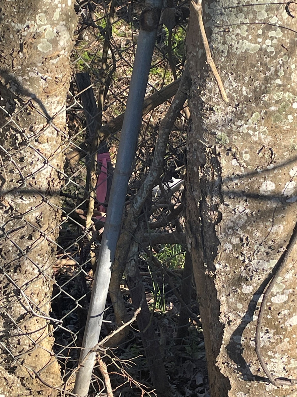 0 Cadillac Street Property Photo 6