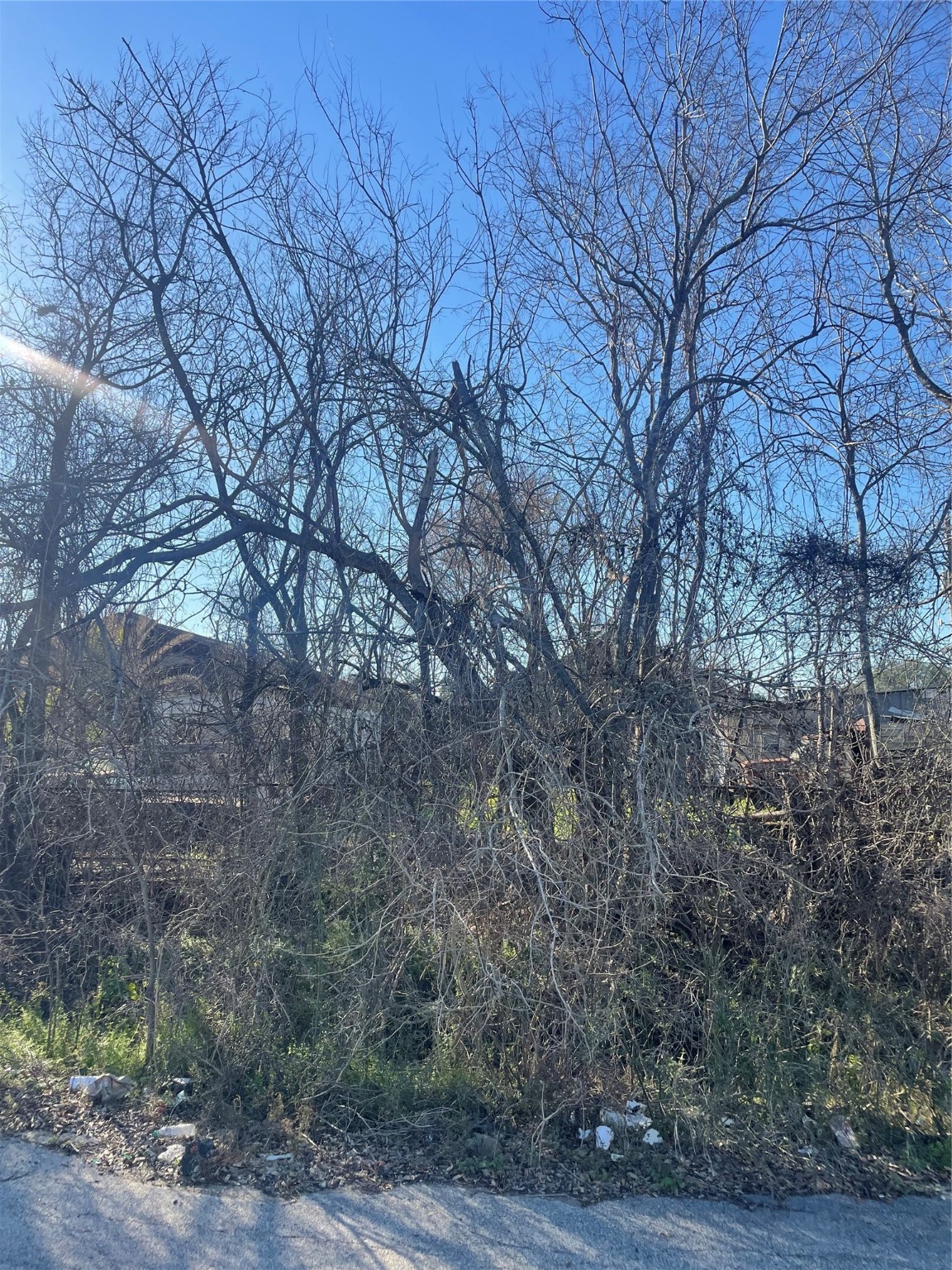 0 Cadillac Street Property Photo 7