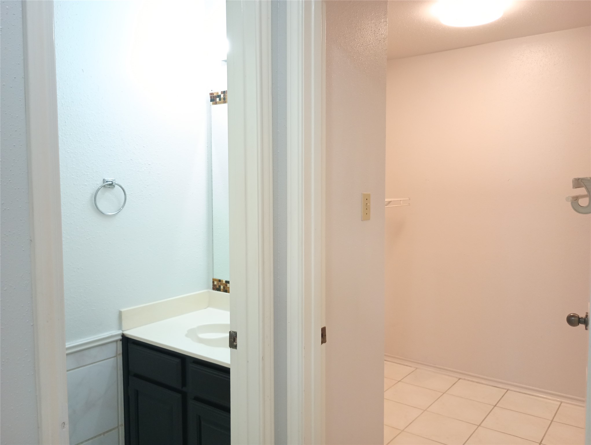 16355 Flint Run Way Property Photo 37