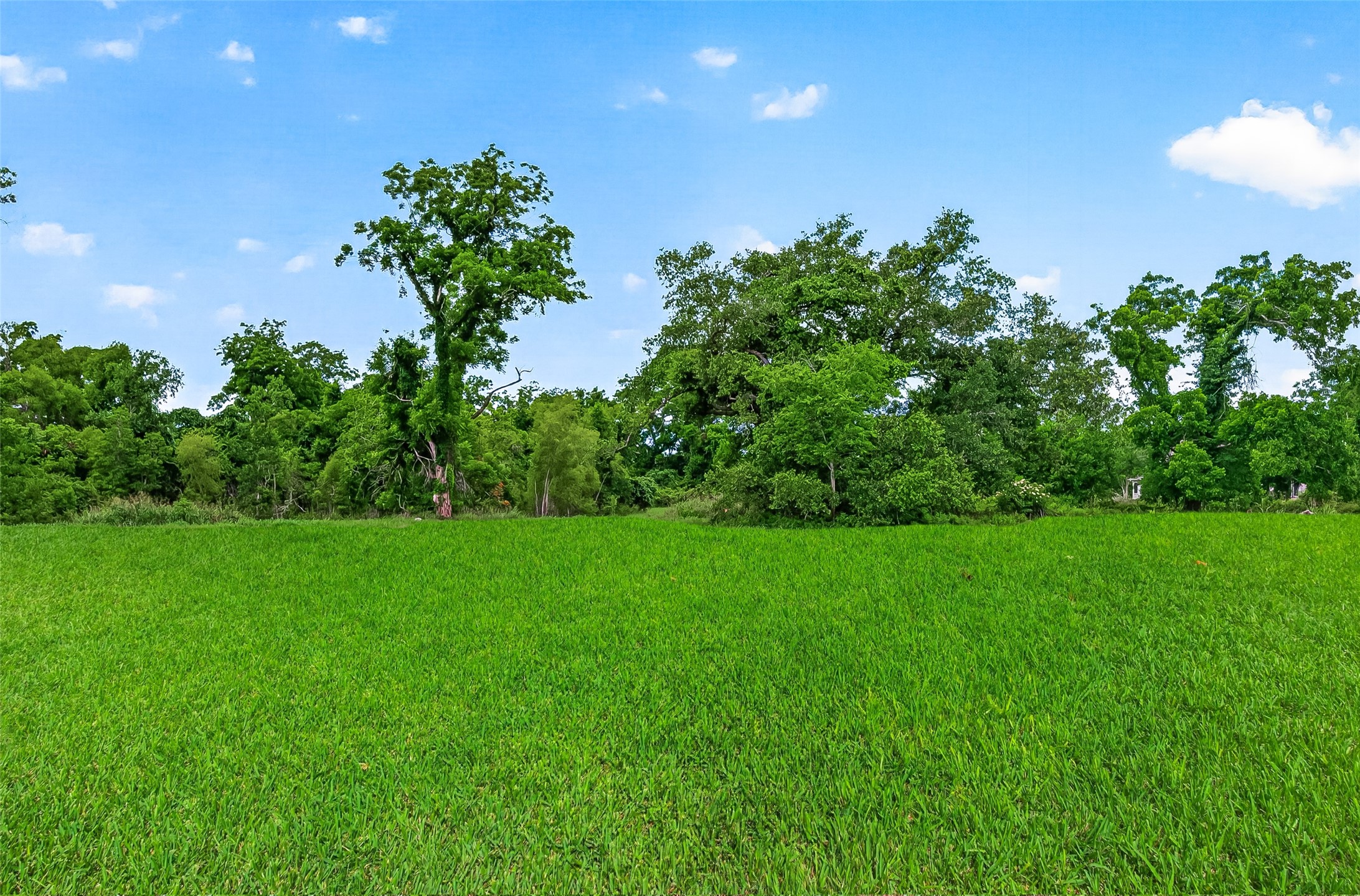 3526 Tankersley Circle Property Photo 4