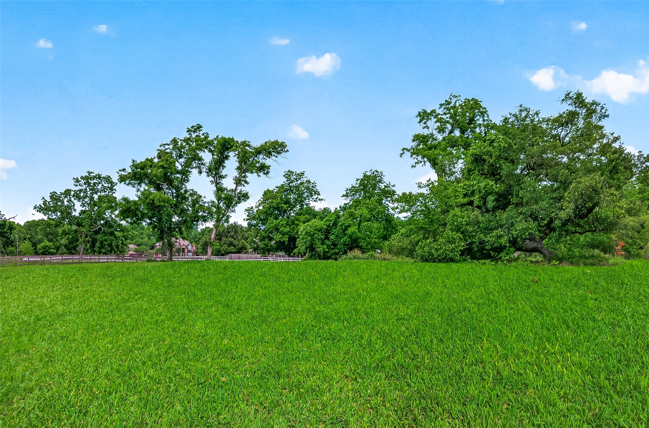 3526 Tankersley Circle Property Photo 10