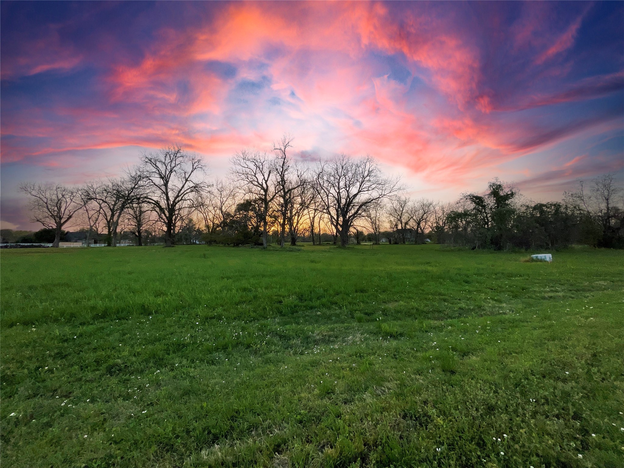 3526 Tankersley Circle Property Photo 13