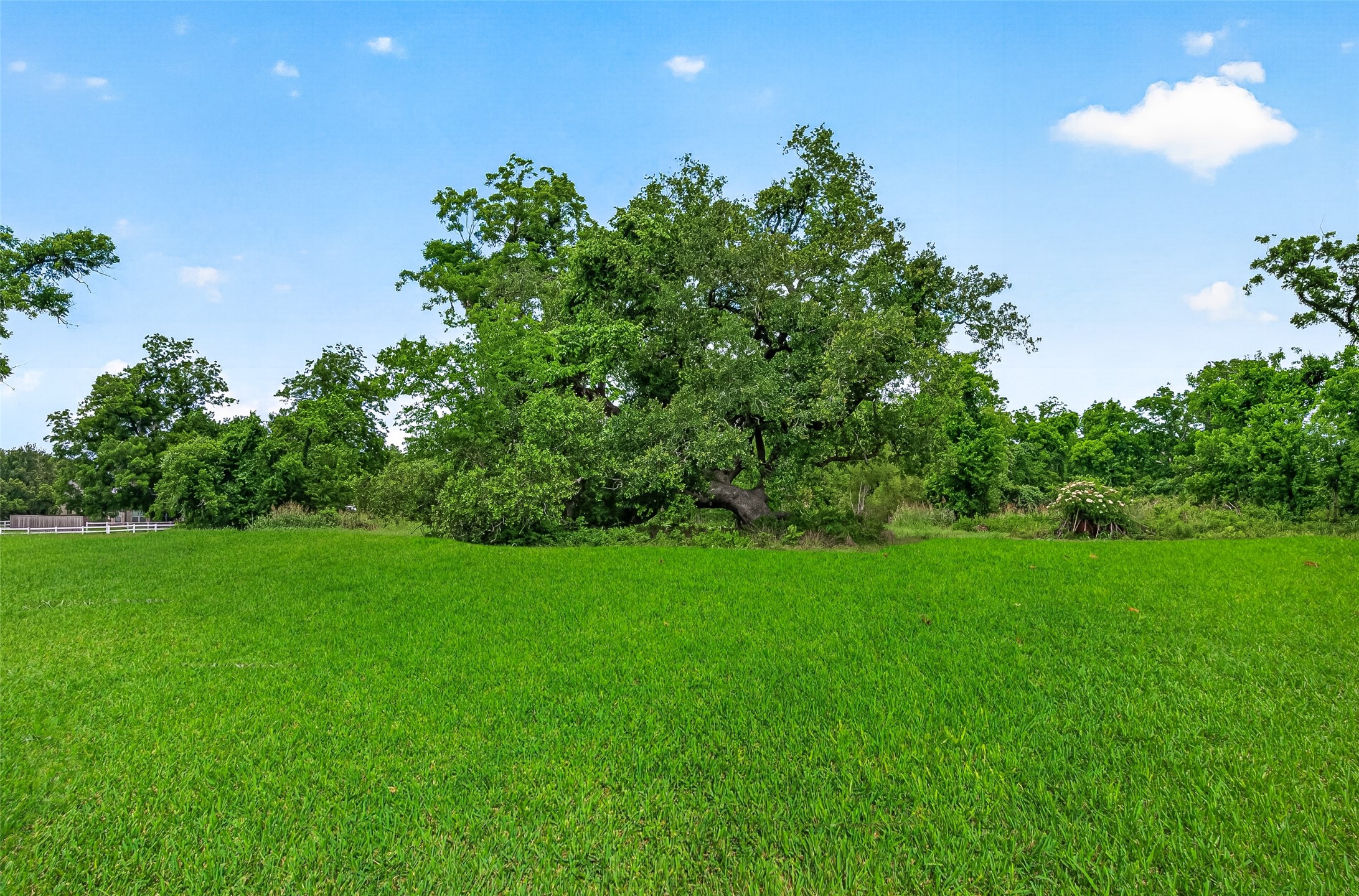 3526 Tankersley Circle Property Photo 35