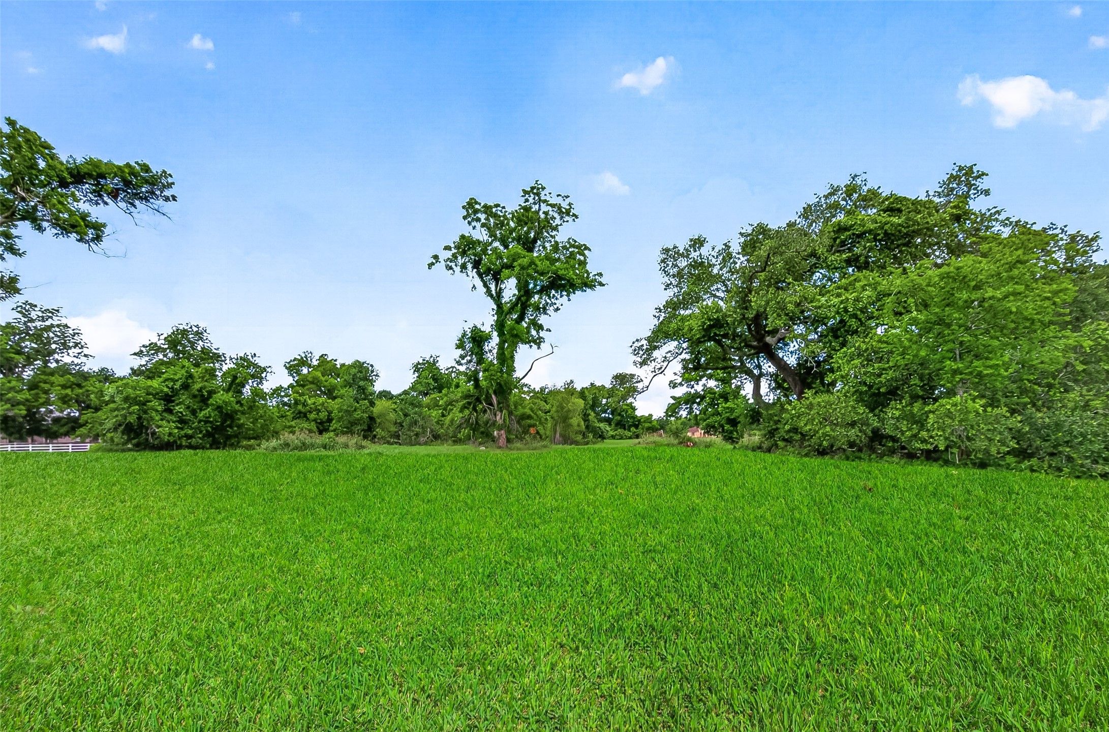 3526 Tankersley Circle Property Photo 36