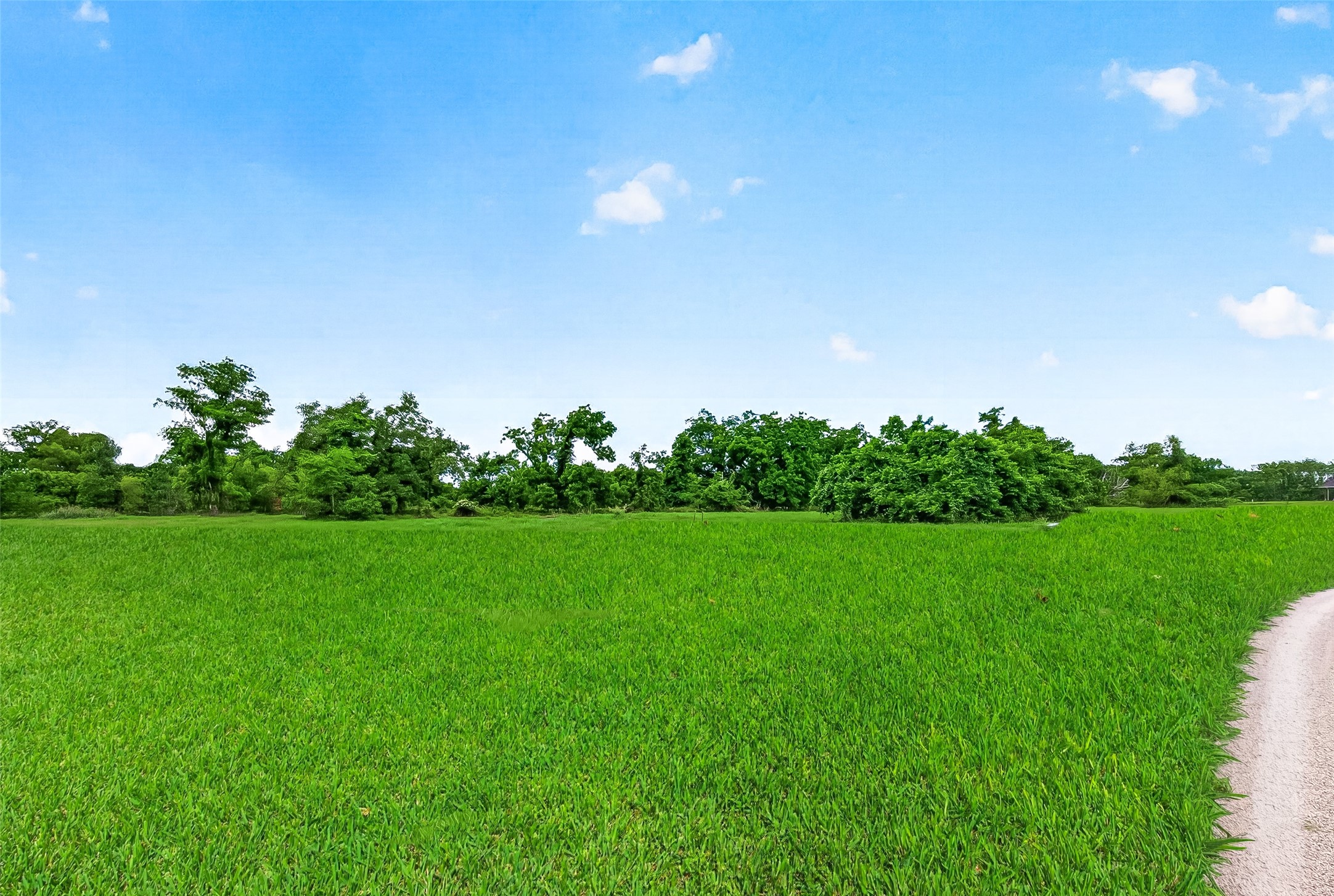 3526 Tankersley Circle Property Photo 37