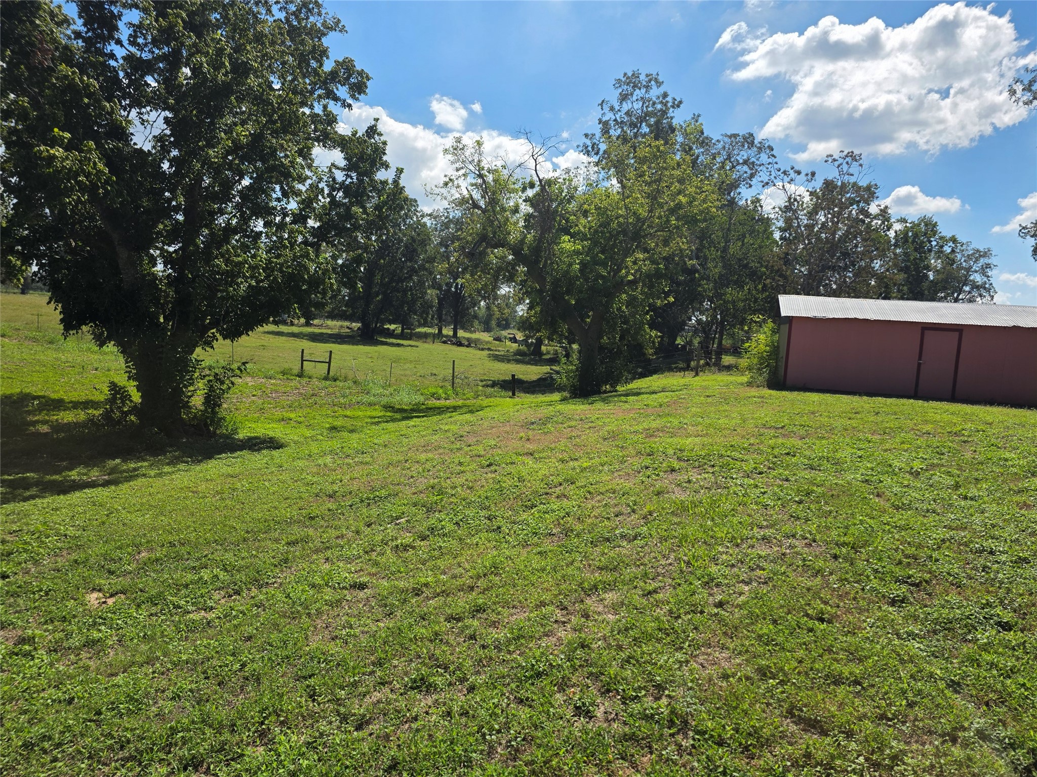 1947 County Road 257 Property Photo 7