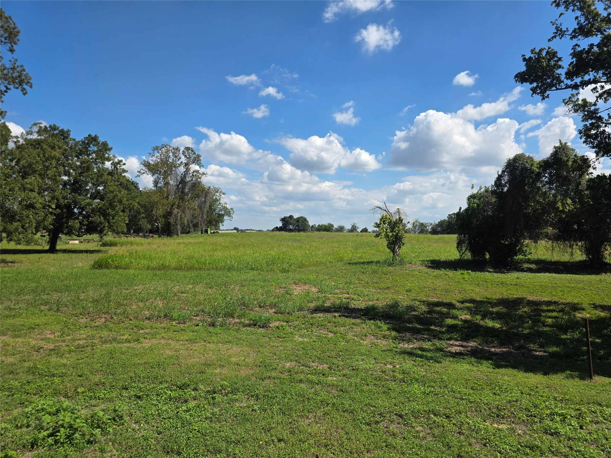 1947 County Road 257 Property Photo 8