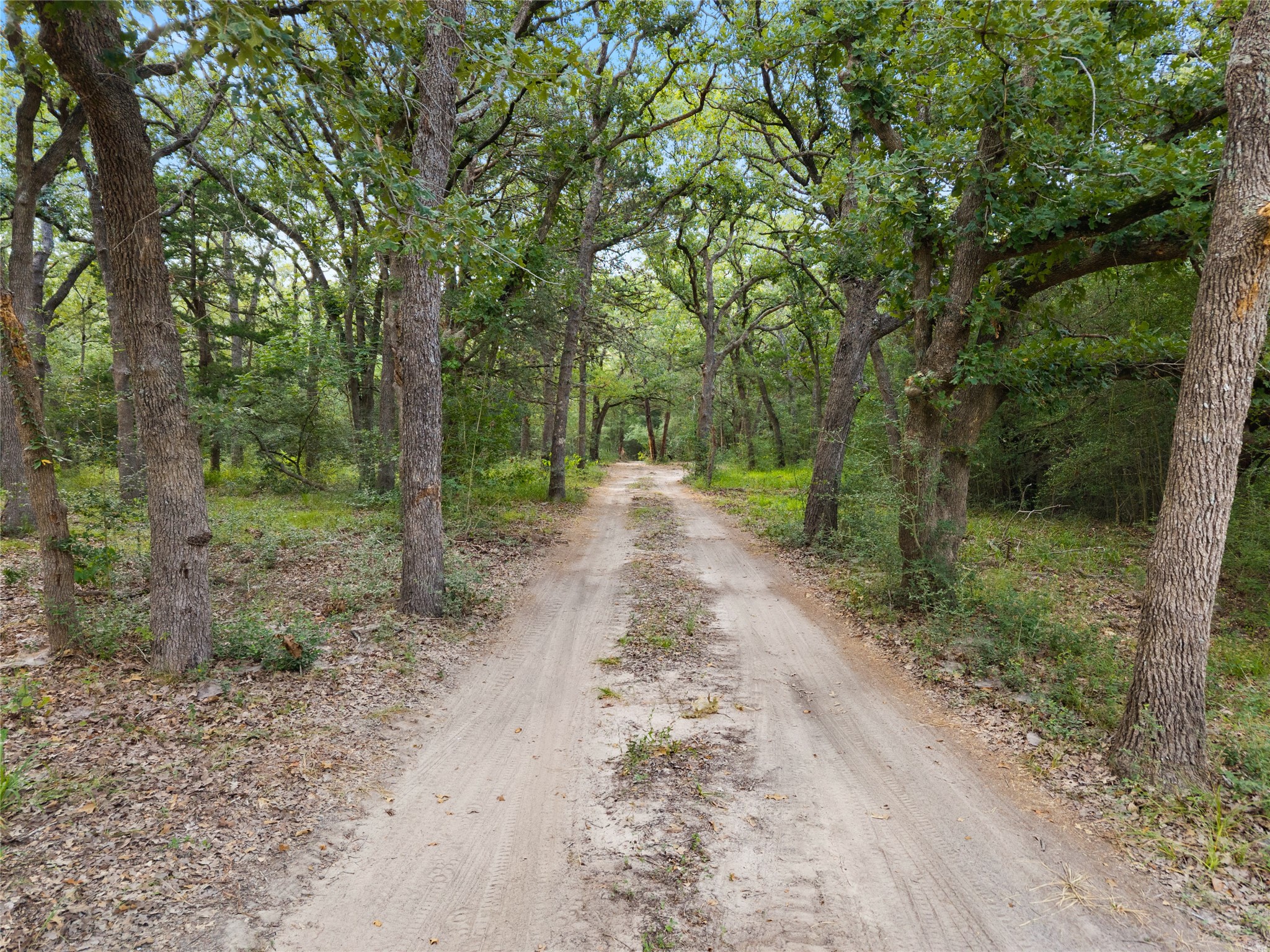 21105 Fm 159 Property Photo 3
