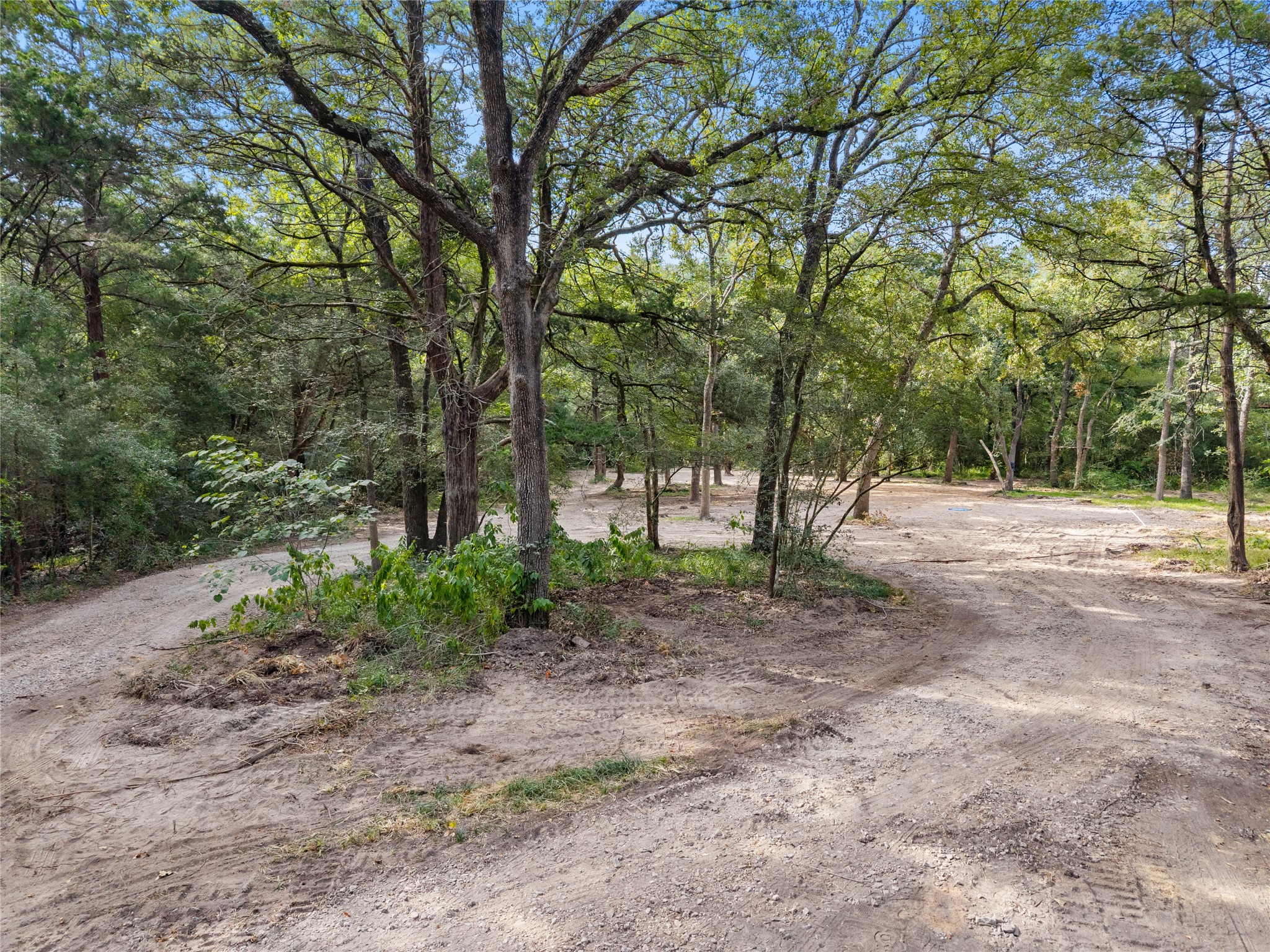 21105 Fm 159 Property Photo 4