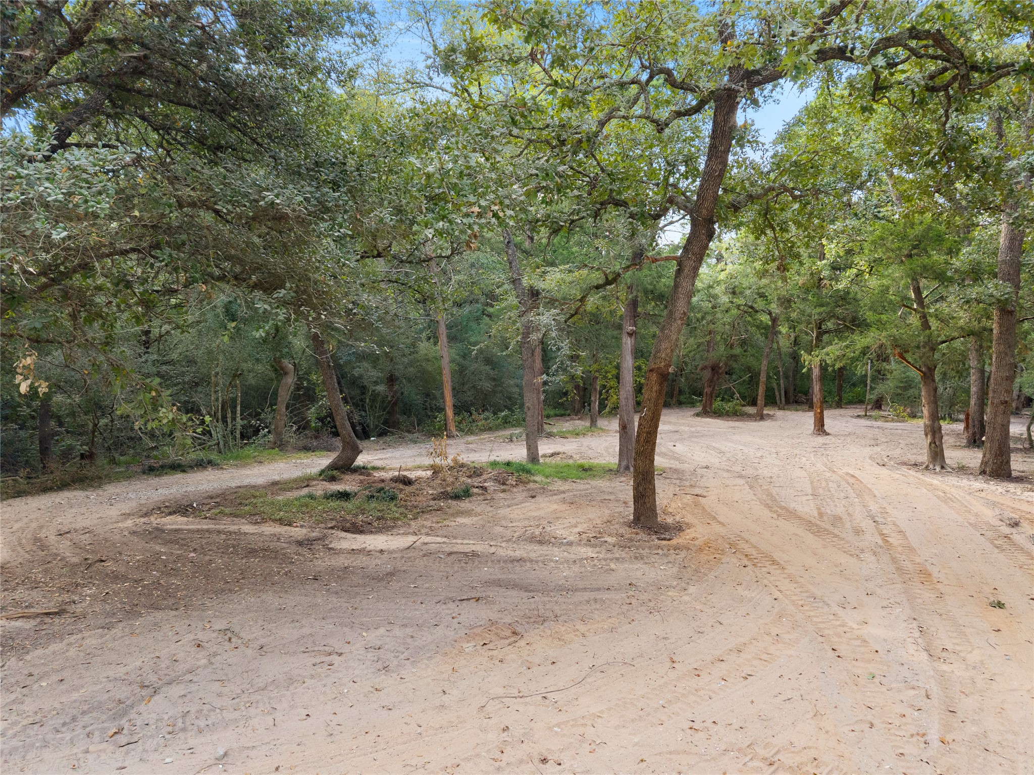 21105 Fm 159 Property Photo 5