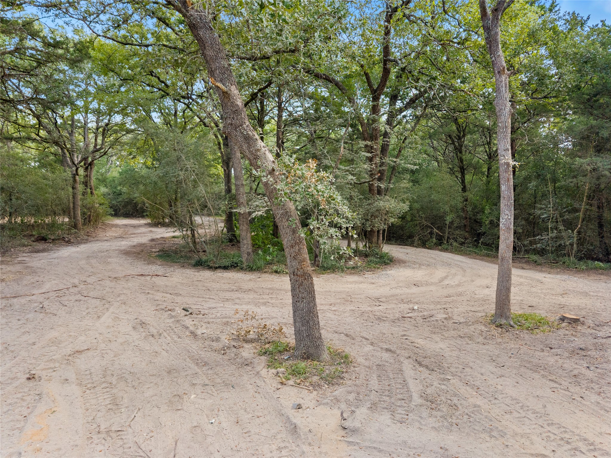 21105 Fm 159 Property Photo 6