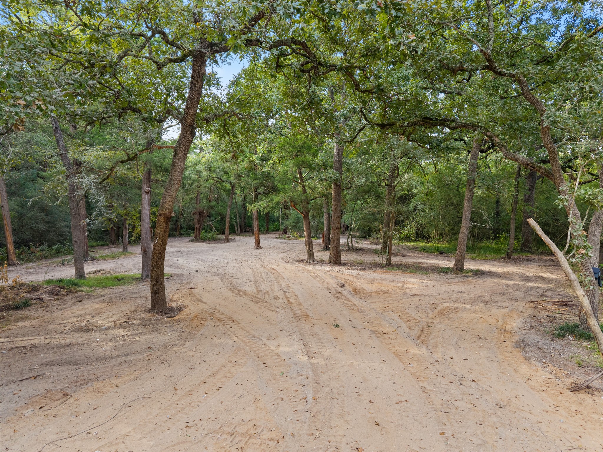 21105 Fm 159 Property Photo 7