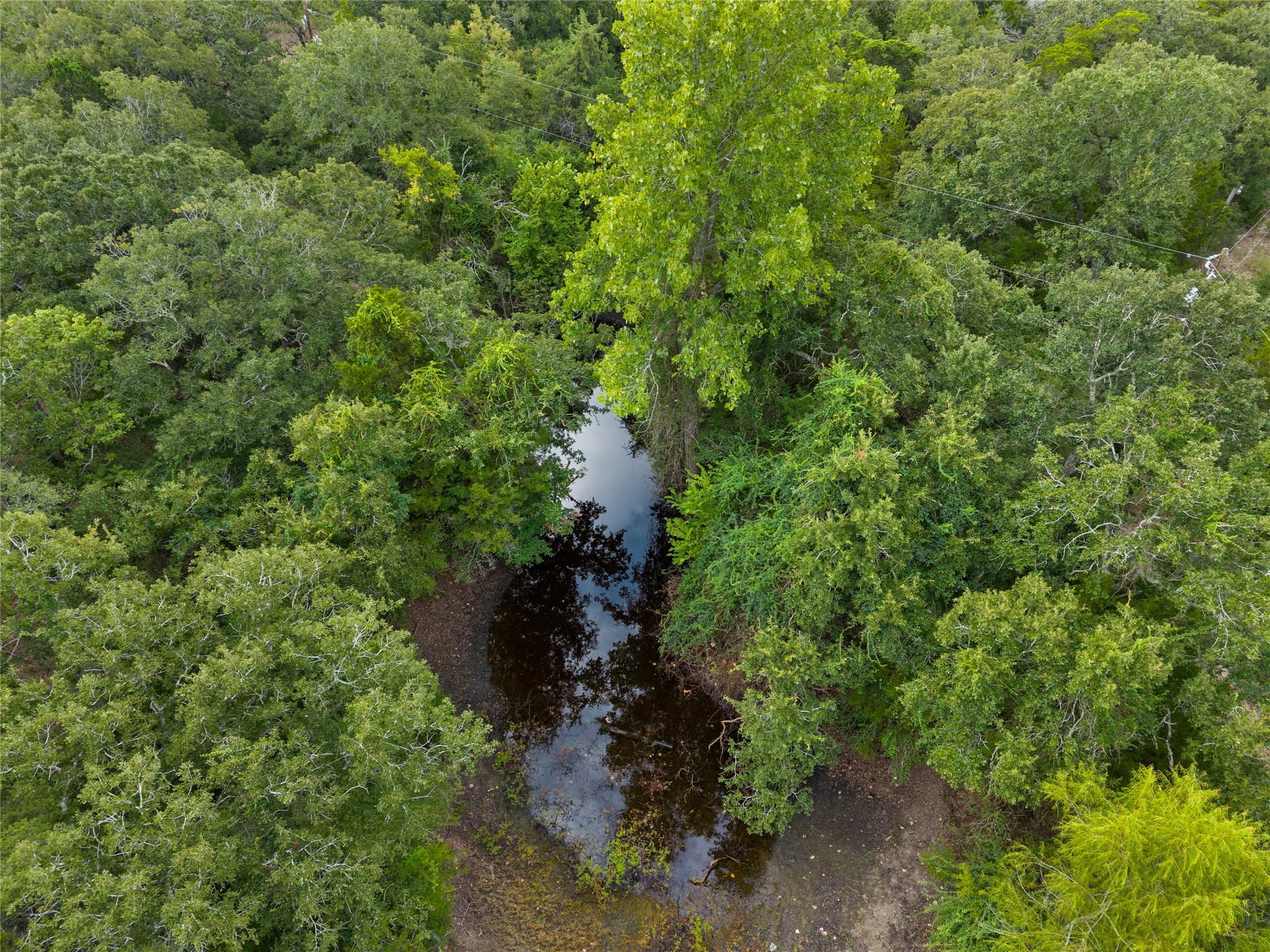 21105 Fm 159 Property Photo 8